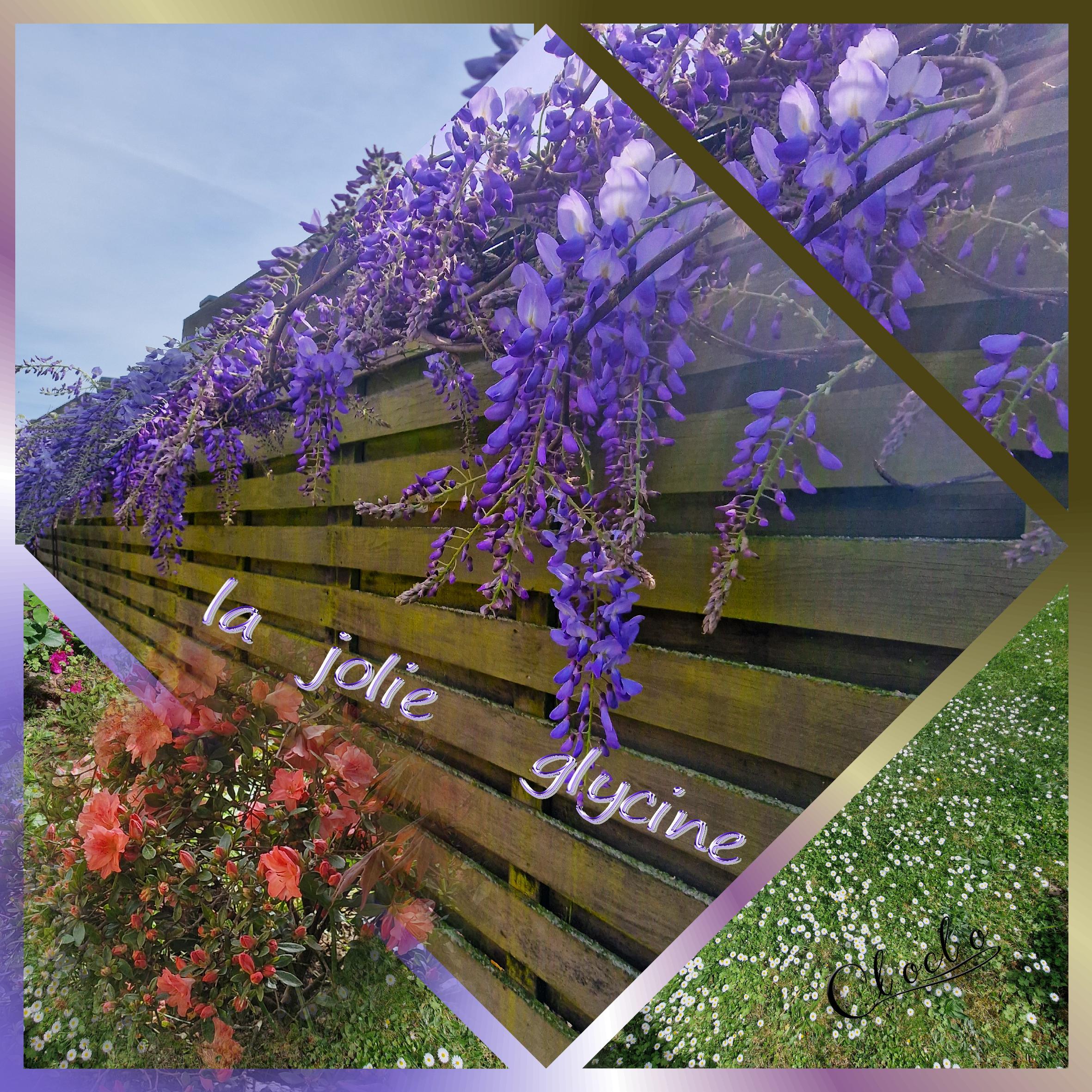 Composition 1 du 2 avril 2024.jpg