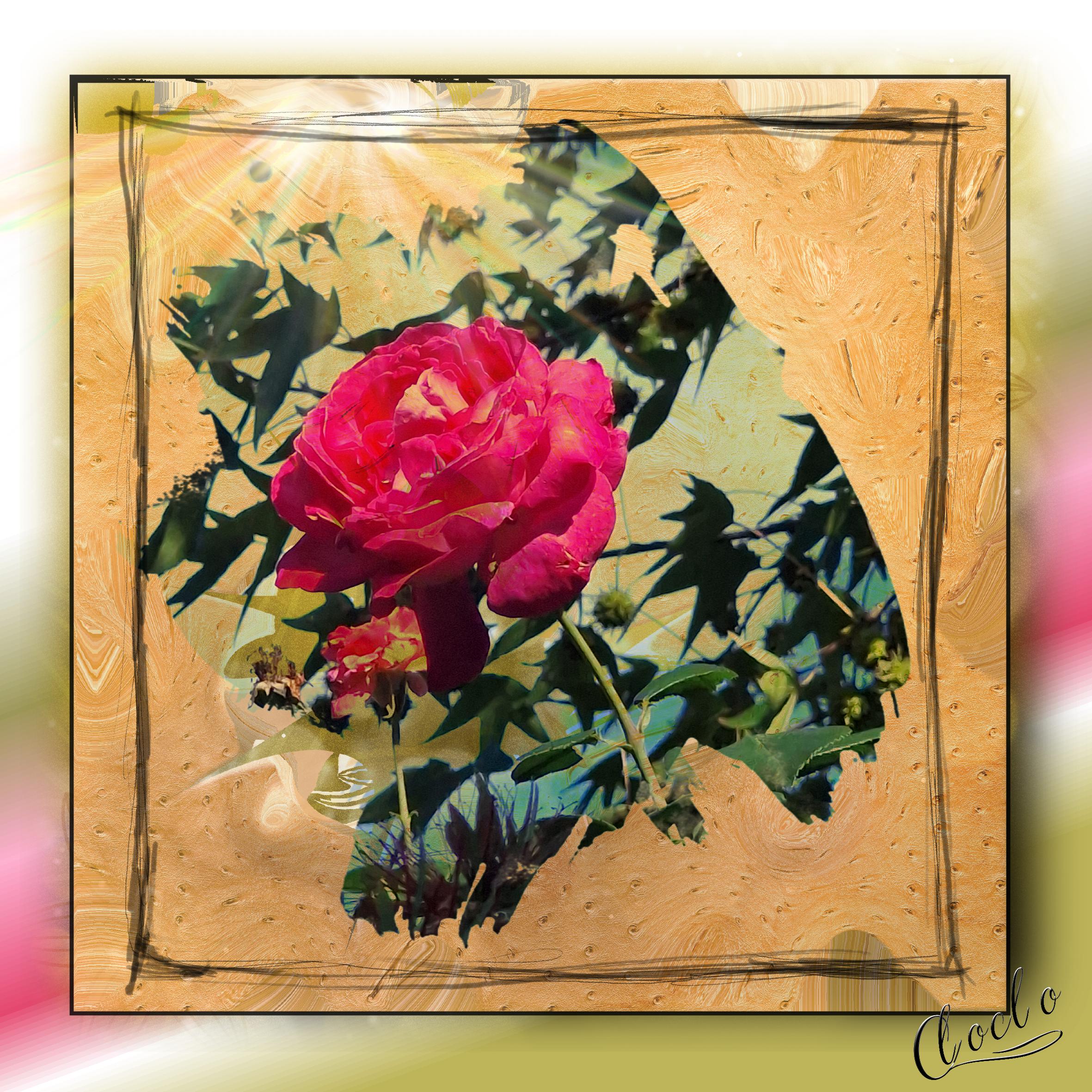 Composition 1 du 2 décembre 2023.jpg