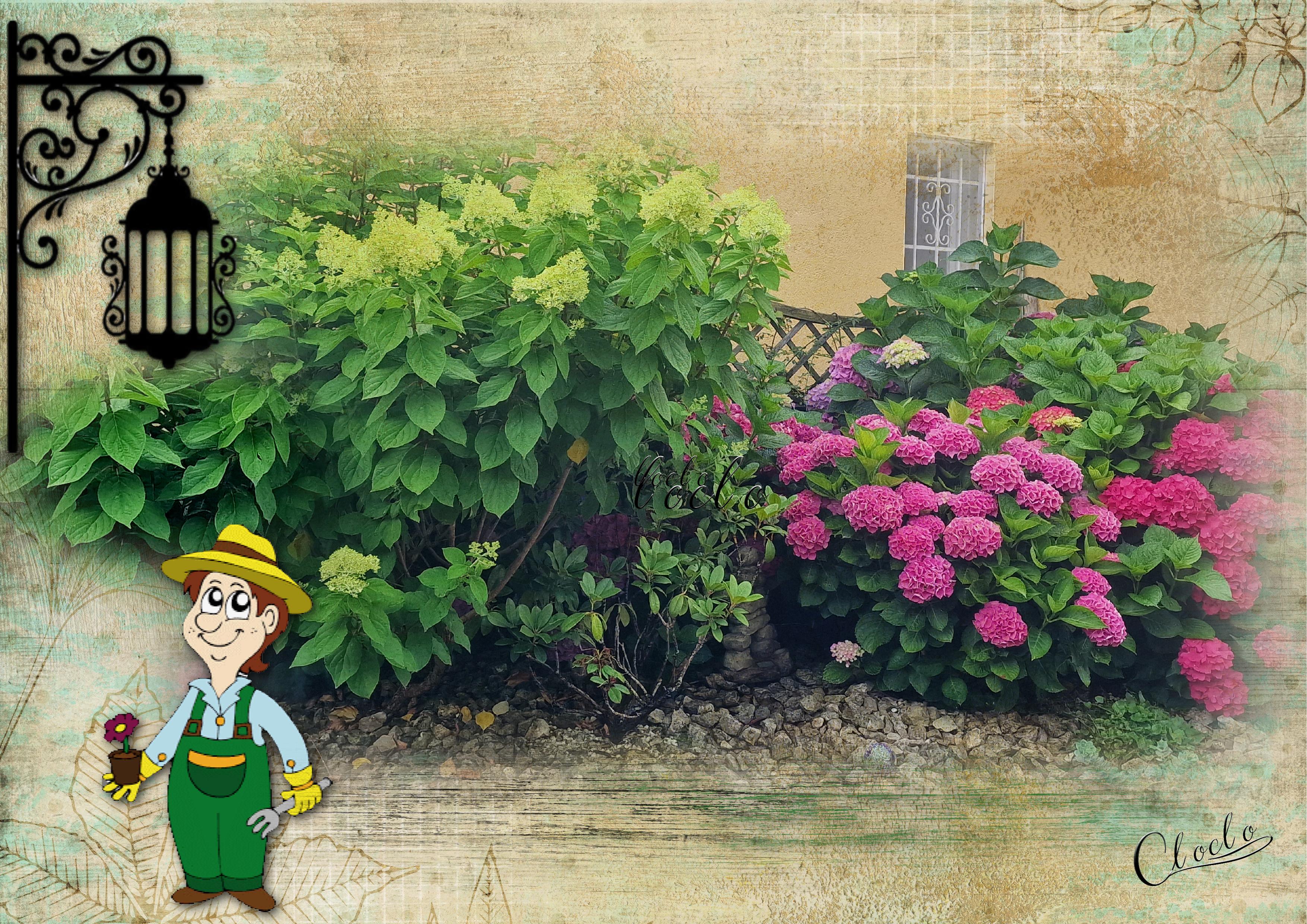 Composition 1 du 2 juillet 2023.jpg