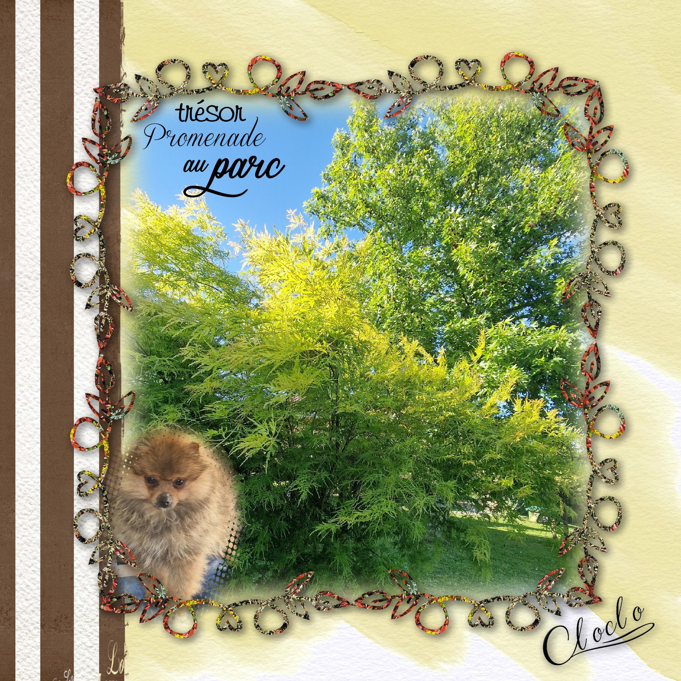 Composition 1 du 2 mai 2024.jpg