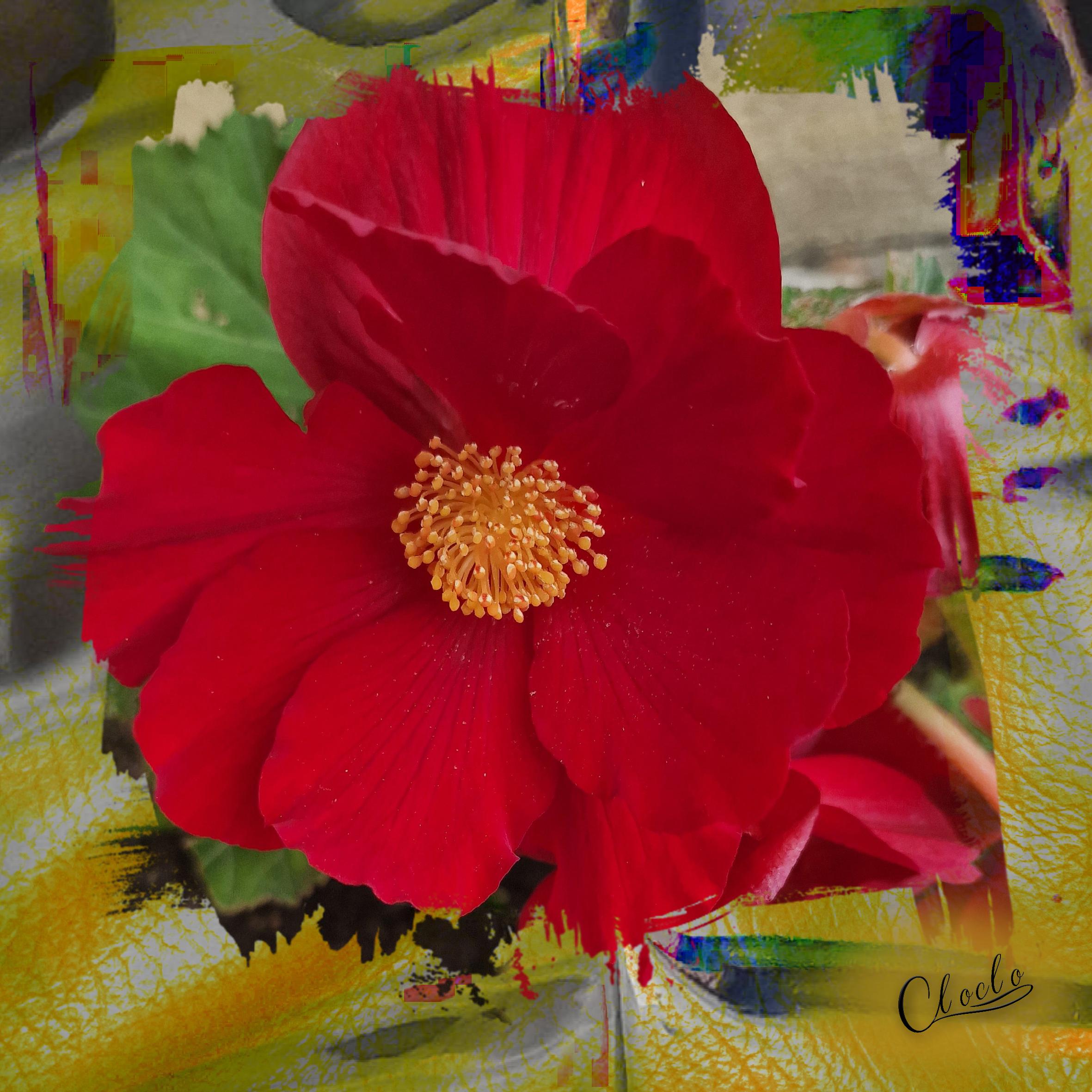 Composition 1 du 2 octobre  2023.jpg