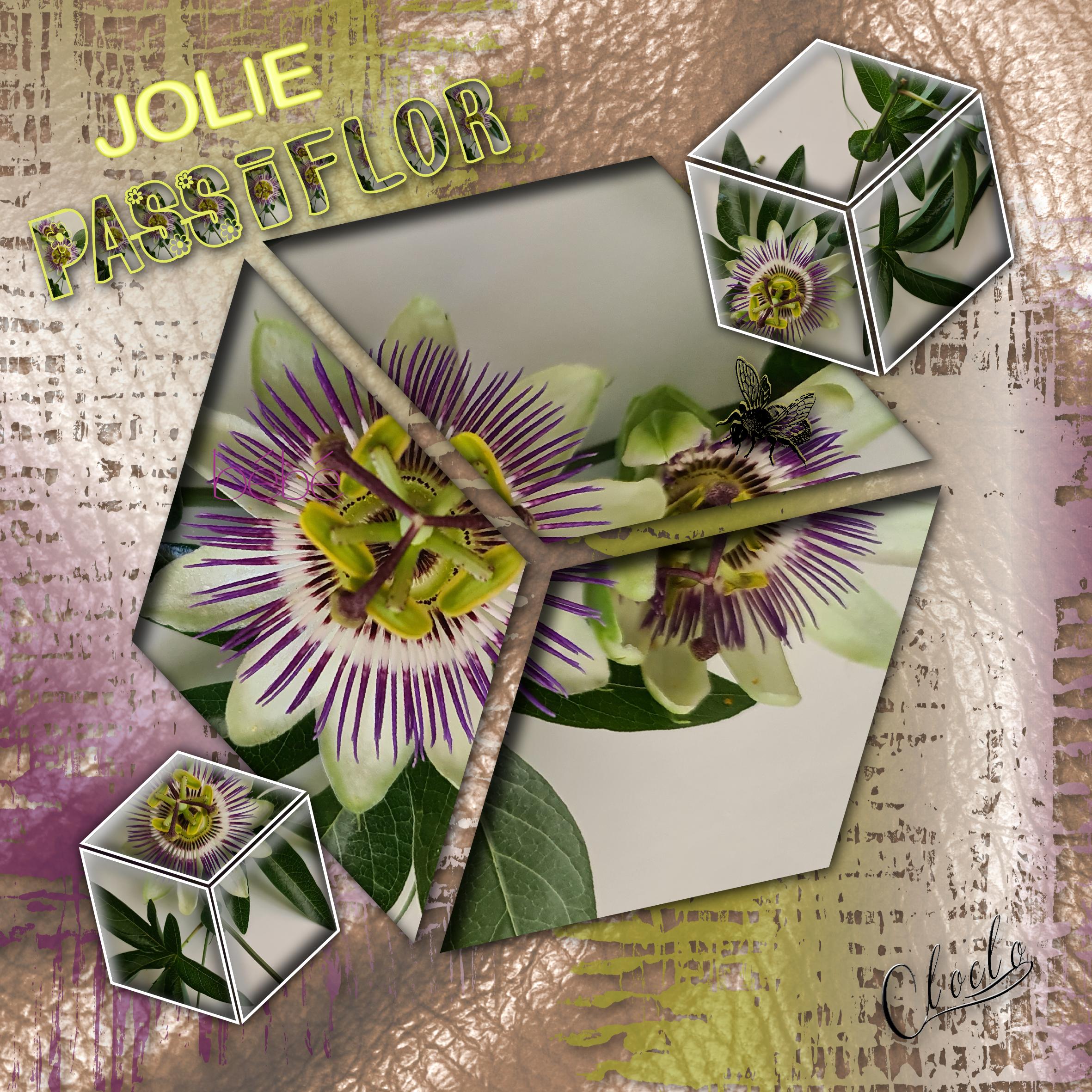 Composition 1 du 2 sept 2023.jpg