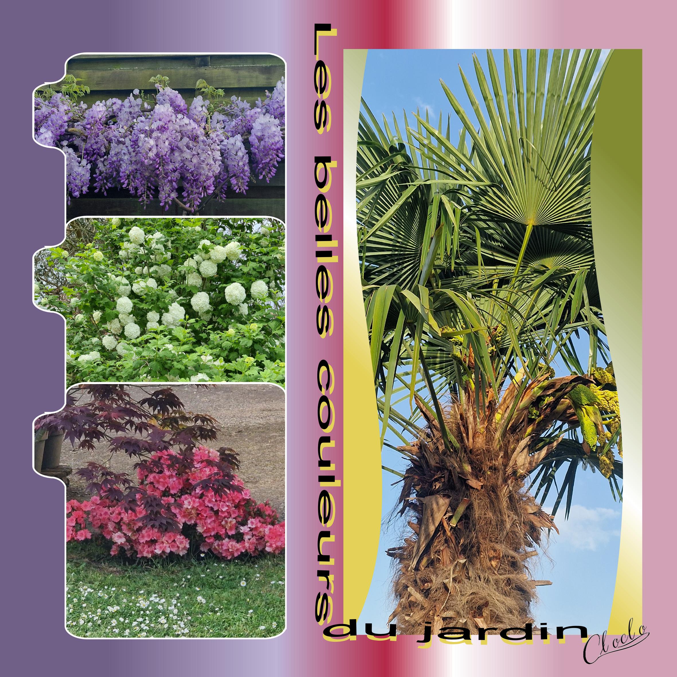 Composition 1 du 20 avril 2024.jpg