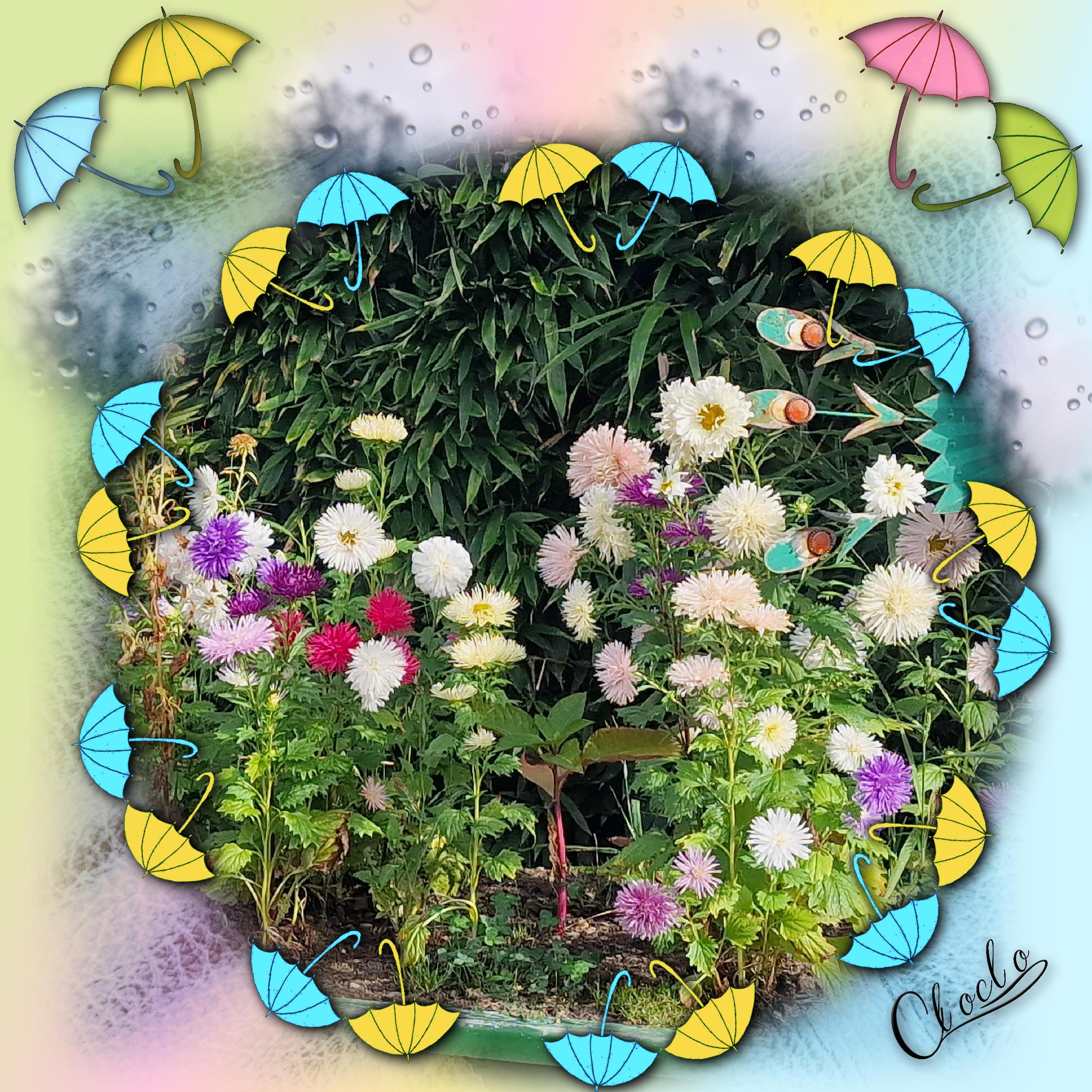 Composition 1 du 20 janvier 2024.jpg