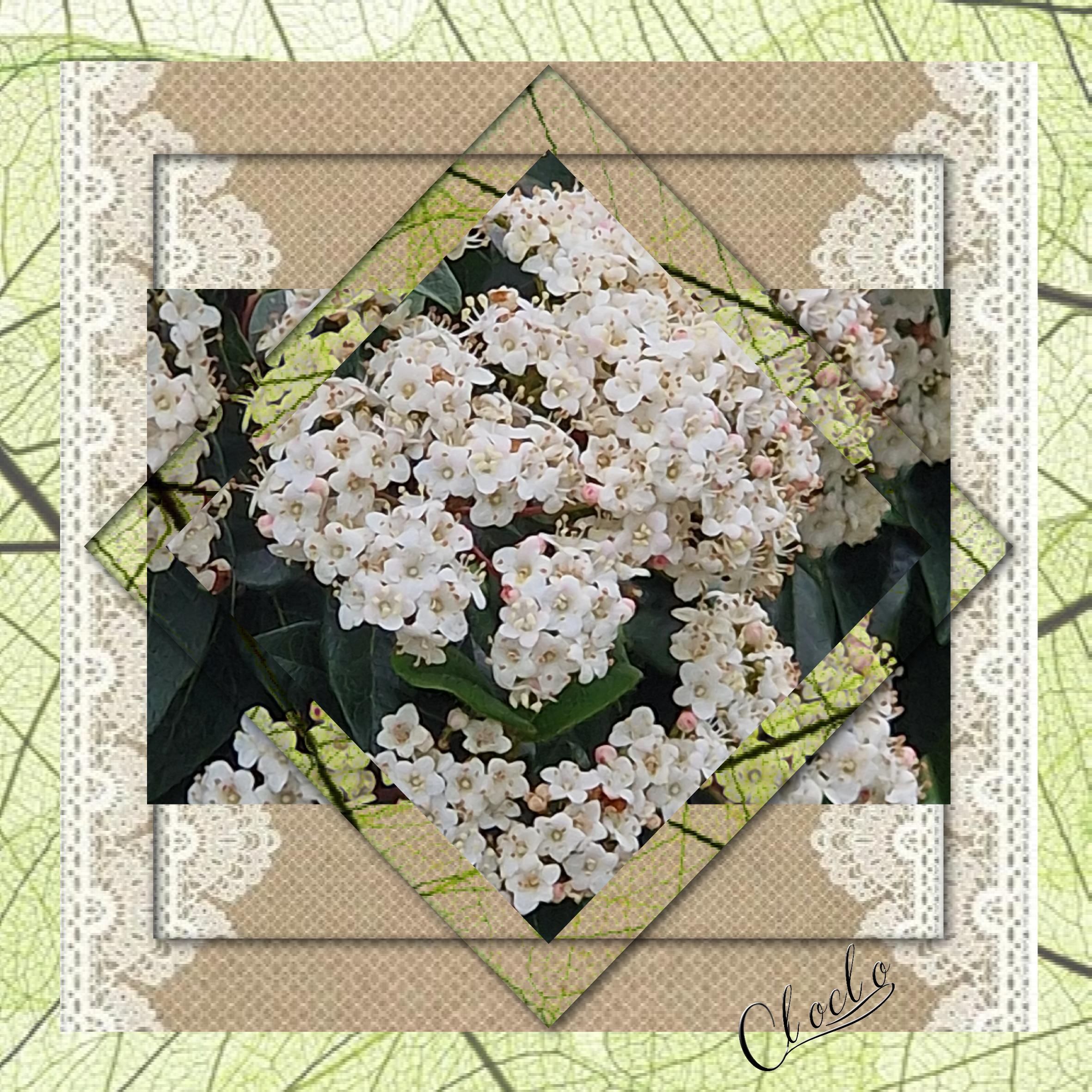 Composition 1 du 20 juillet 2023.jpg