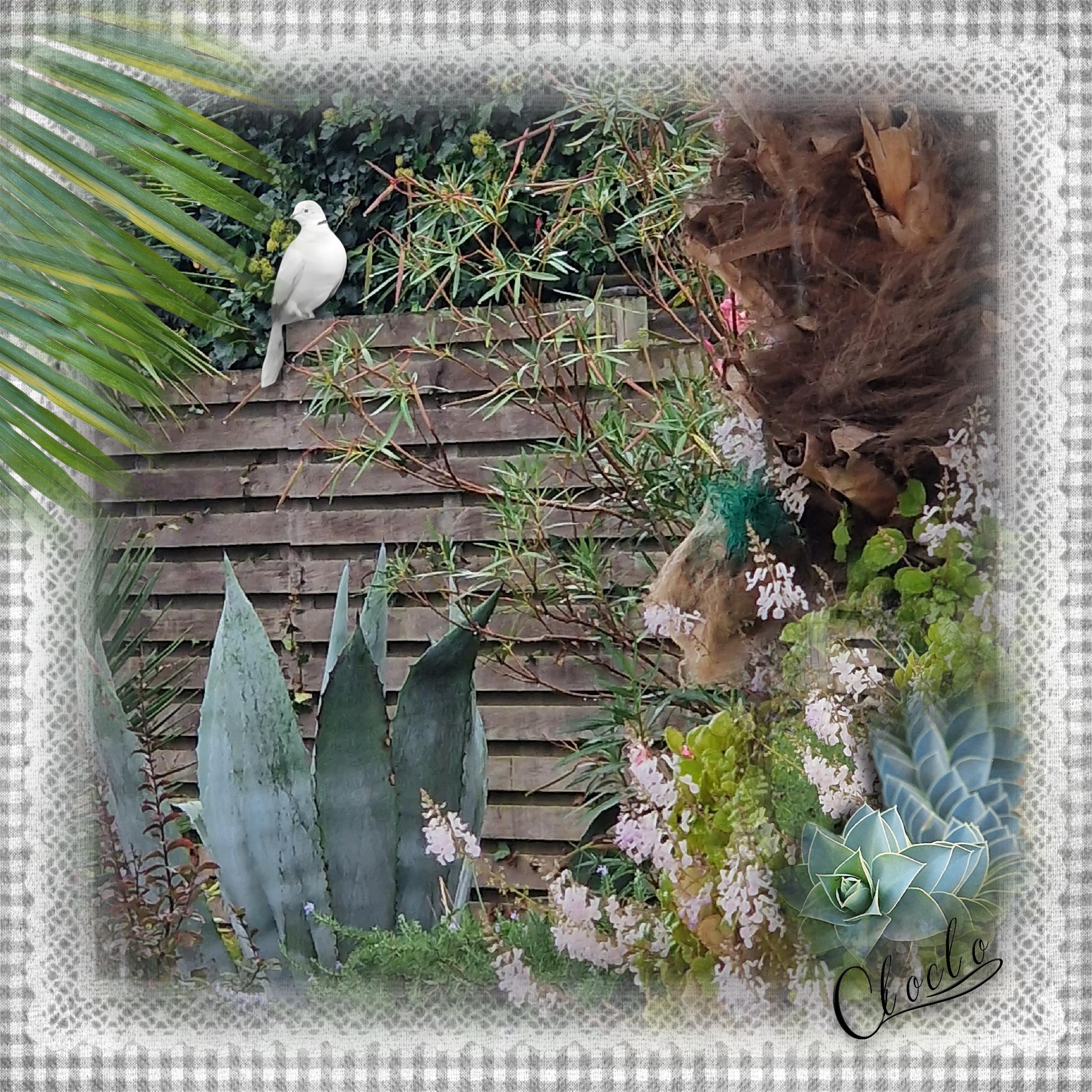 Composition 1 du 20 octobre 2023.jpg