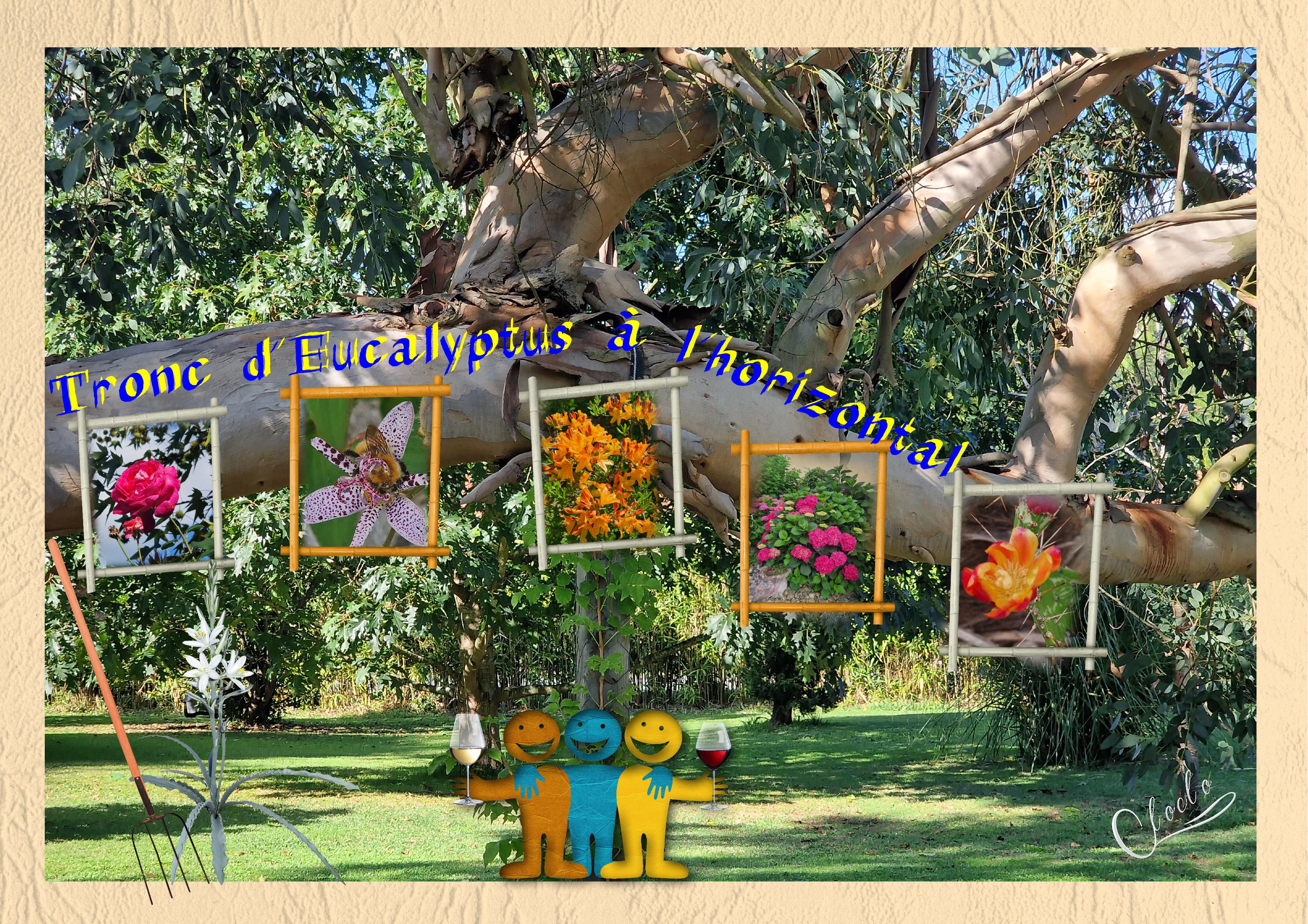 Composition 1 du 20 septembre 2023.jpg