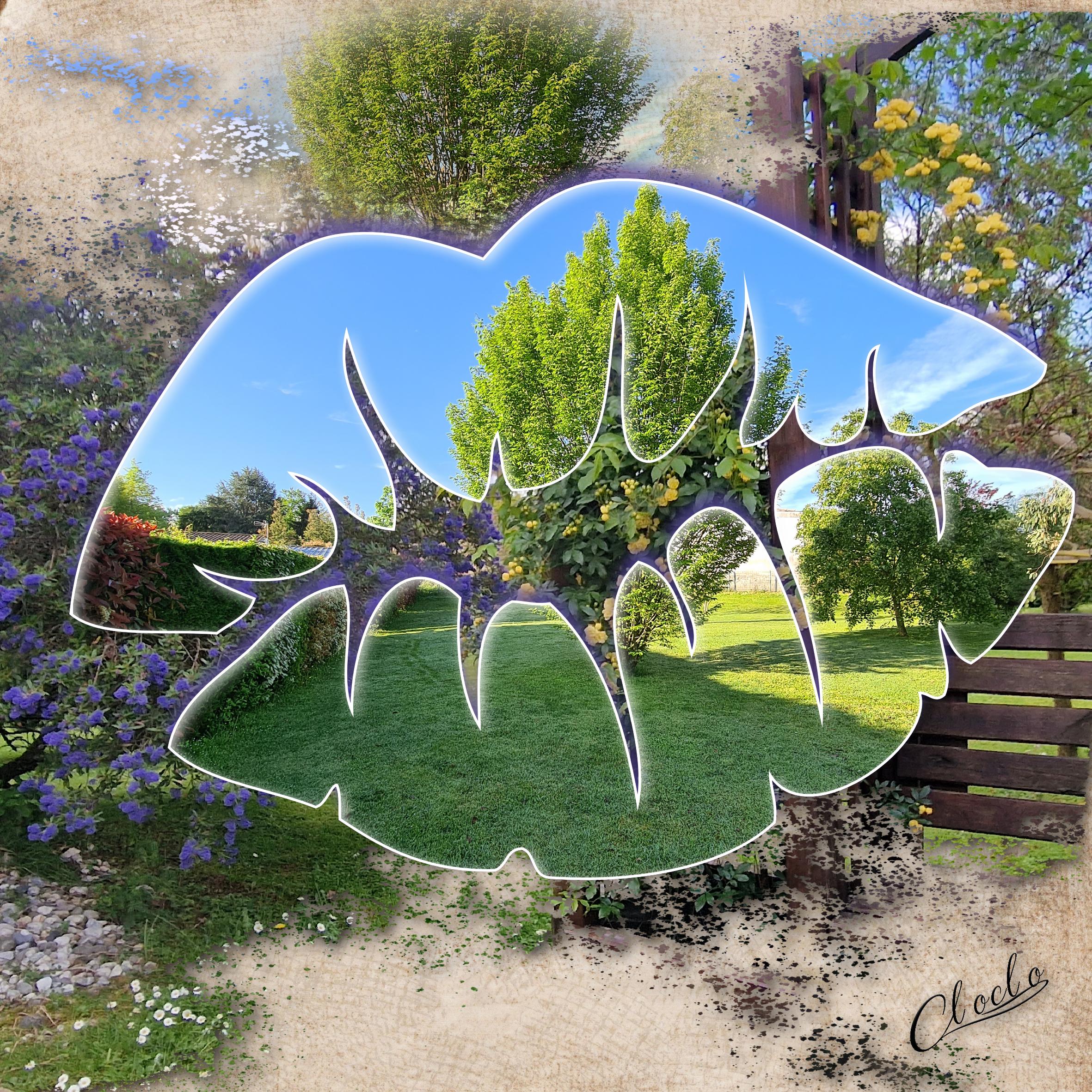 Composition 1 du 21 juin 2023.jpg