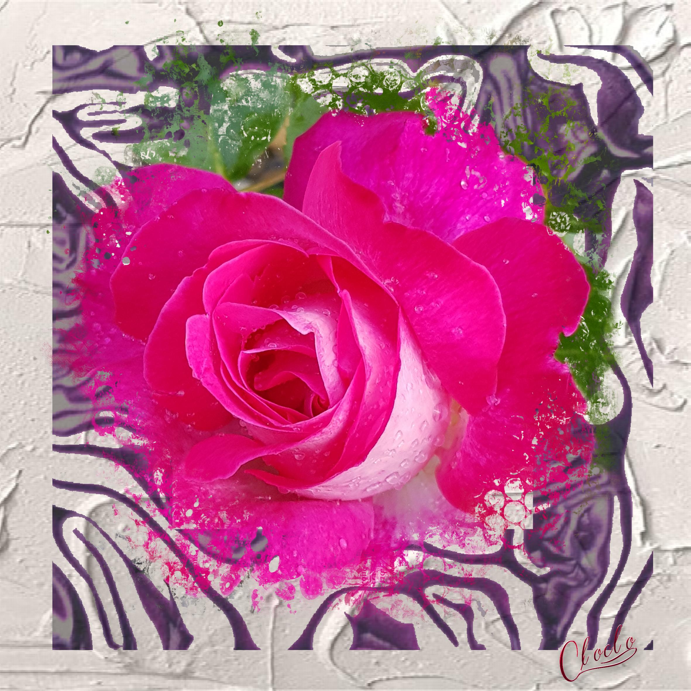 Composition 1 du 22 février 2023.jpg