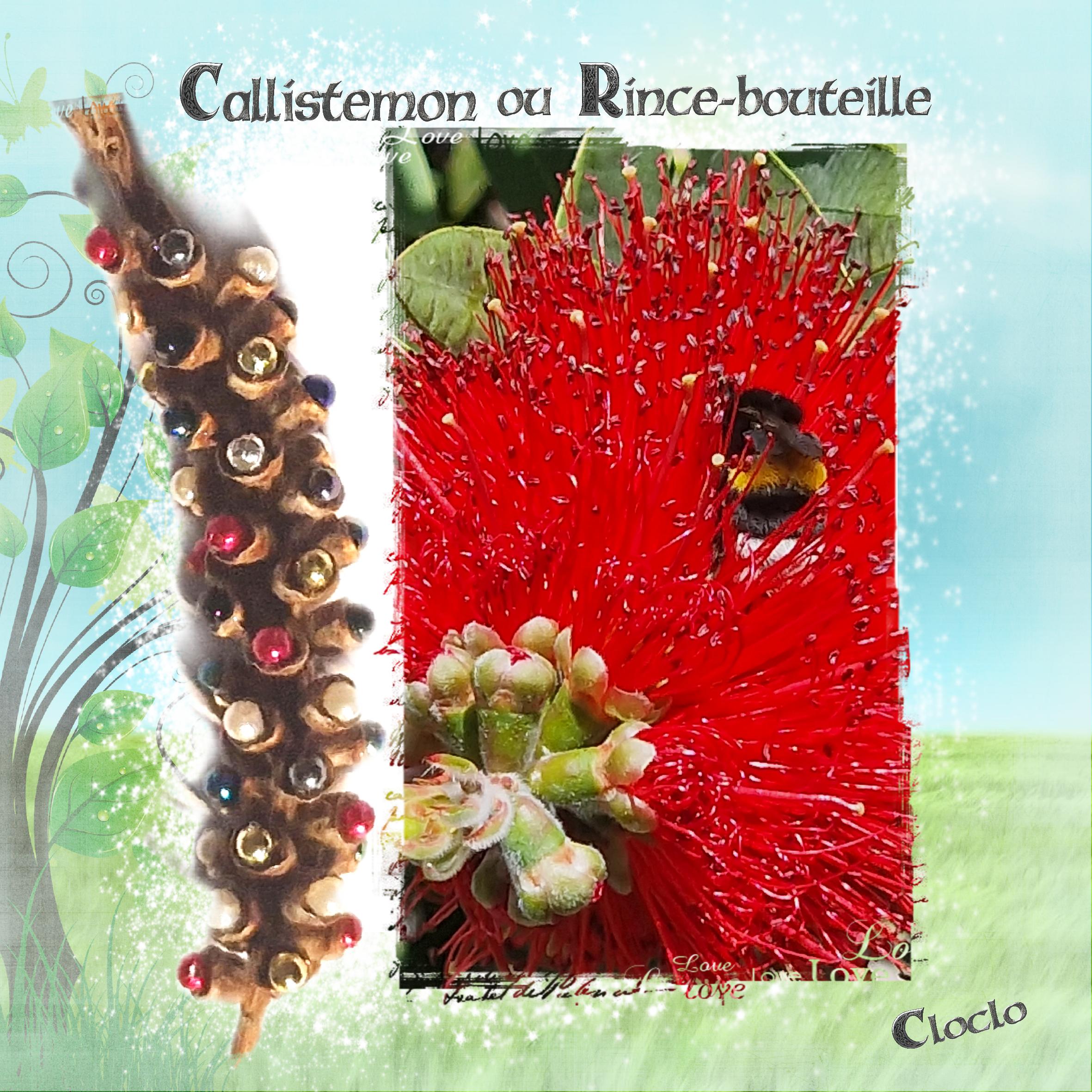 Composition 1 du 22 février 2024.jpg