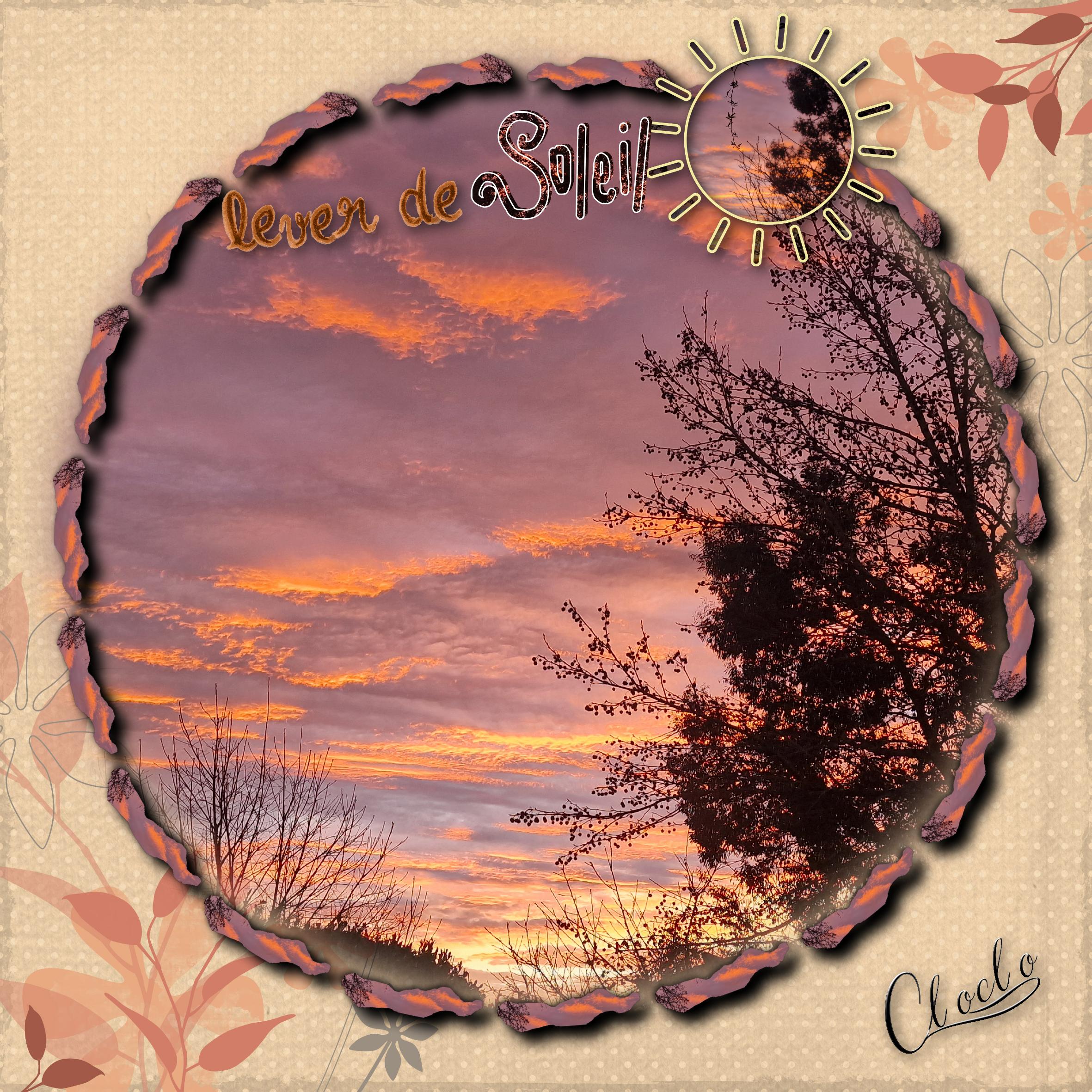 Composition 1 du 22 janvier 2024.jpg