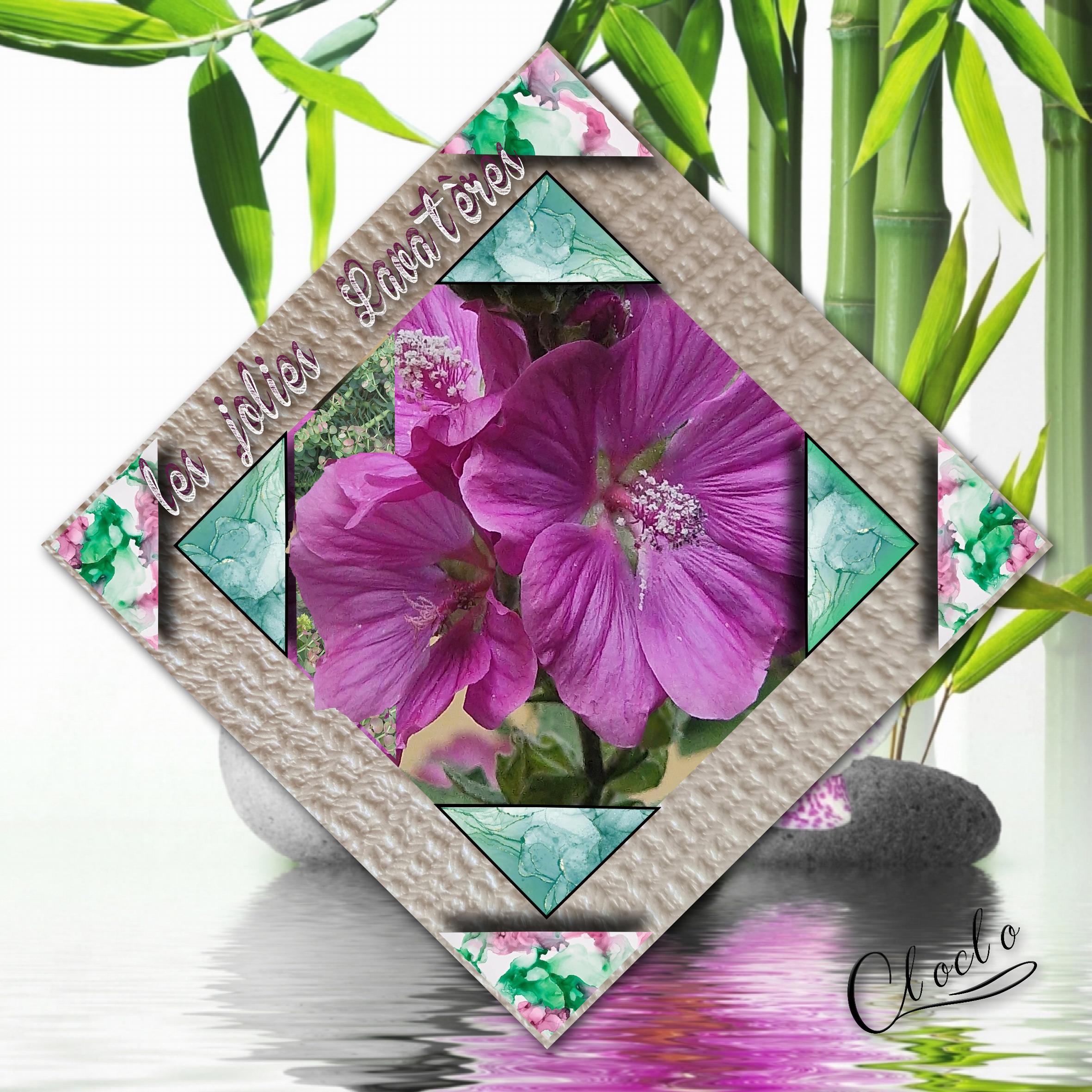 Composition 1 du 22 juillet 2023.jpg