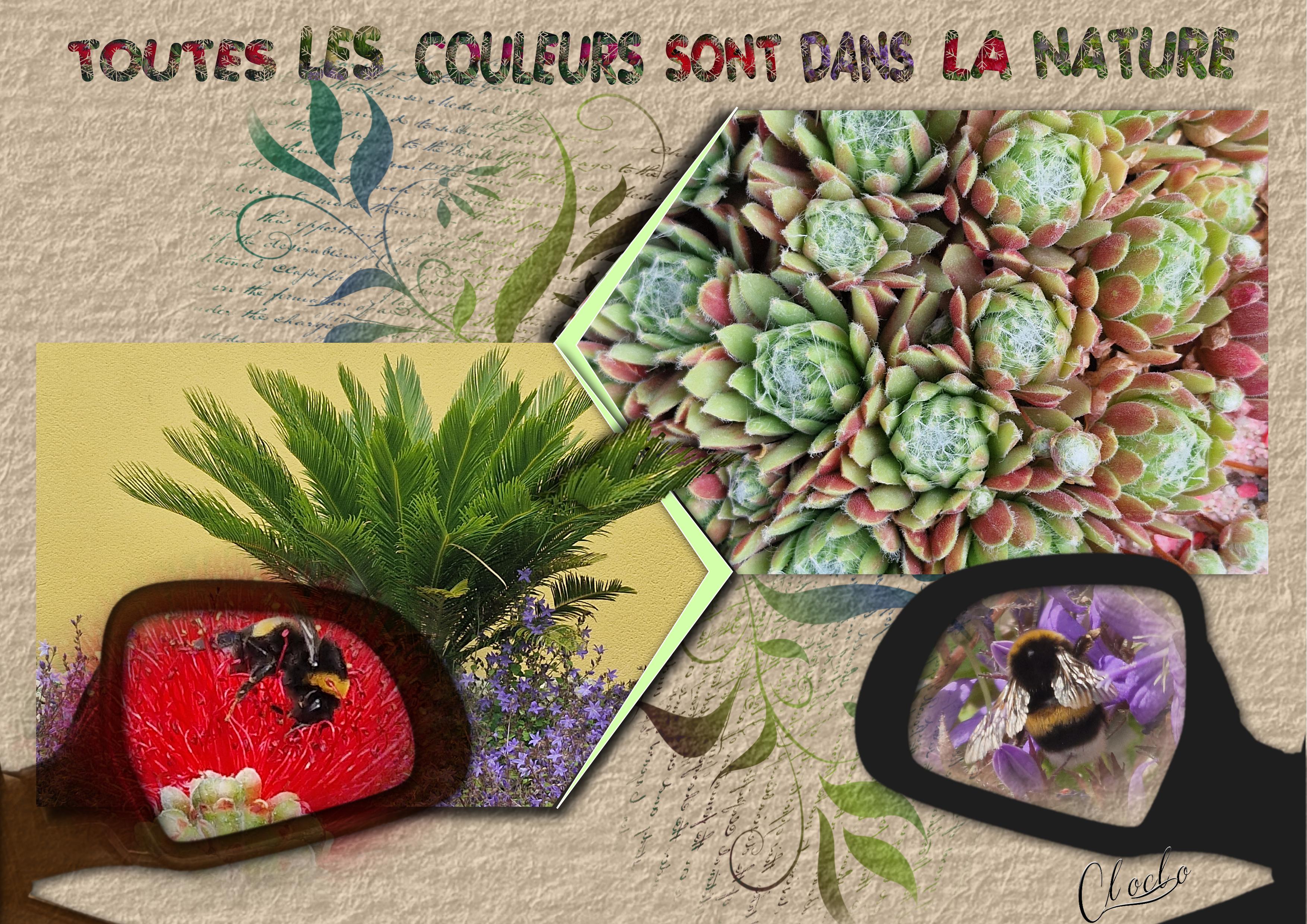 Composition 1 du 22 mai 2023.jpg