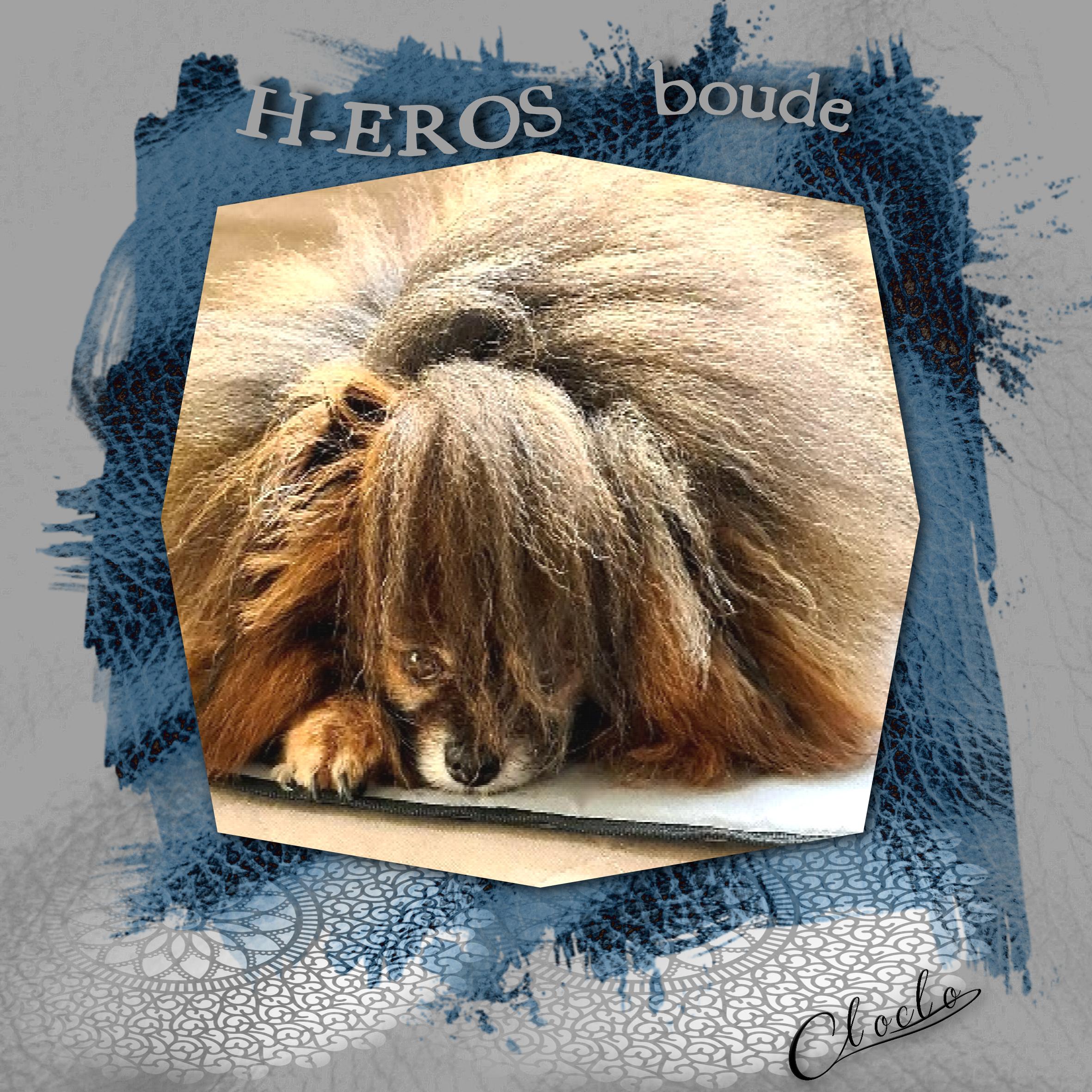 composition 1 du 22 octobre 2023.jpg