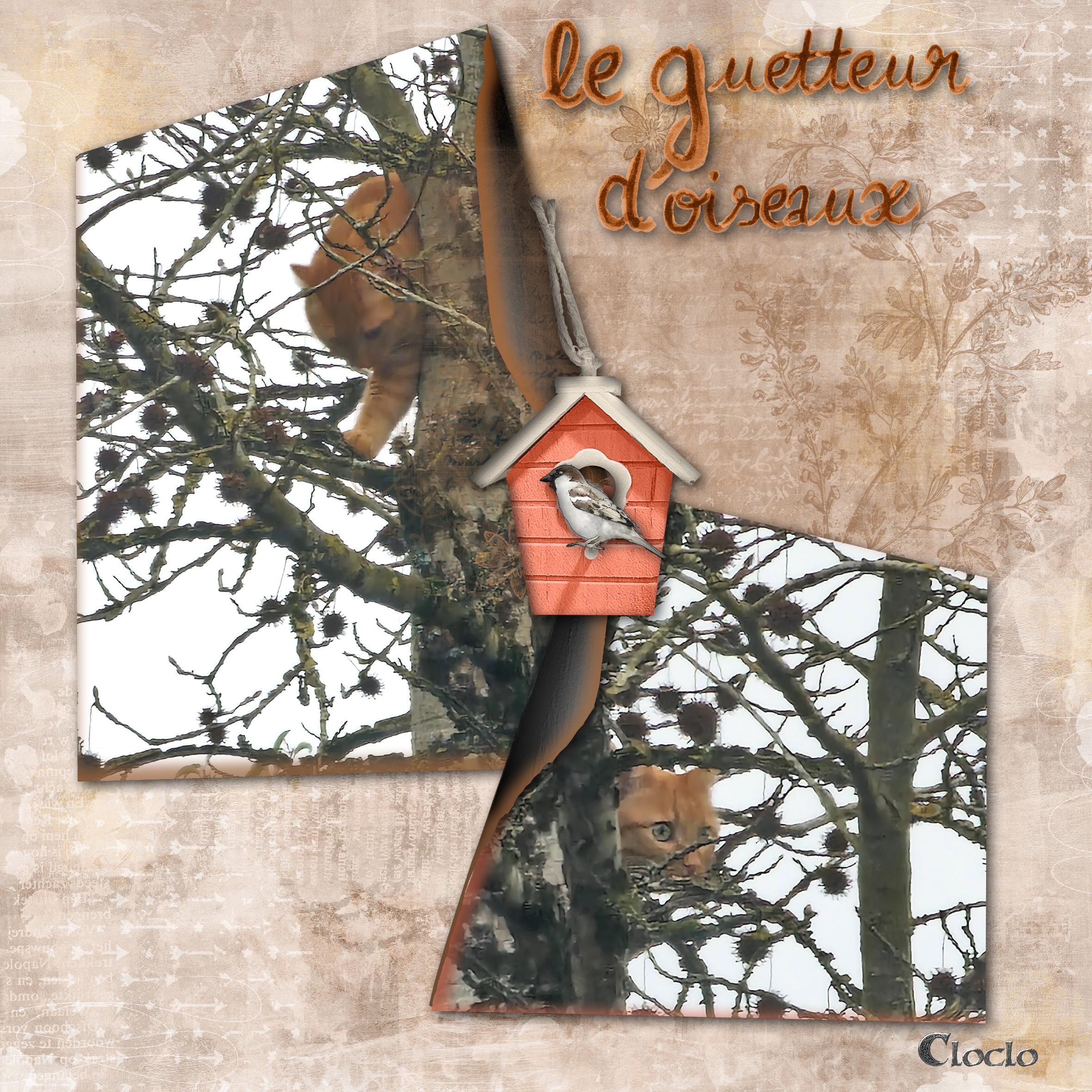 Composition 1 du 23 février 2023.jpg