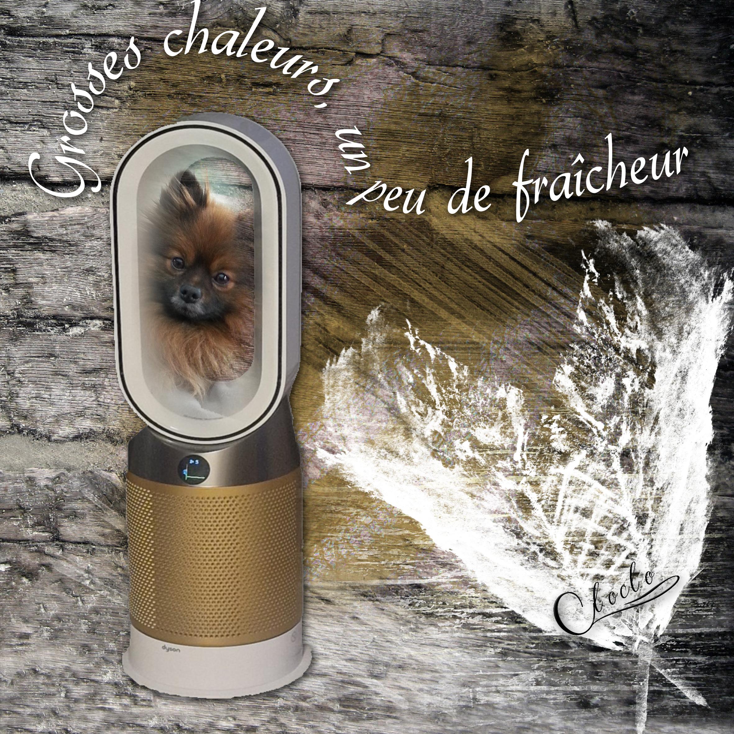 Composition 1 du 24 août 2023.jpg