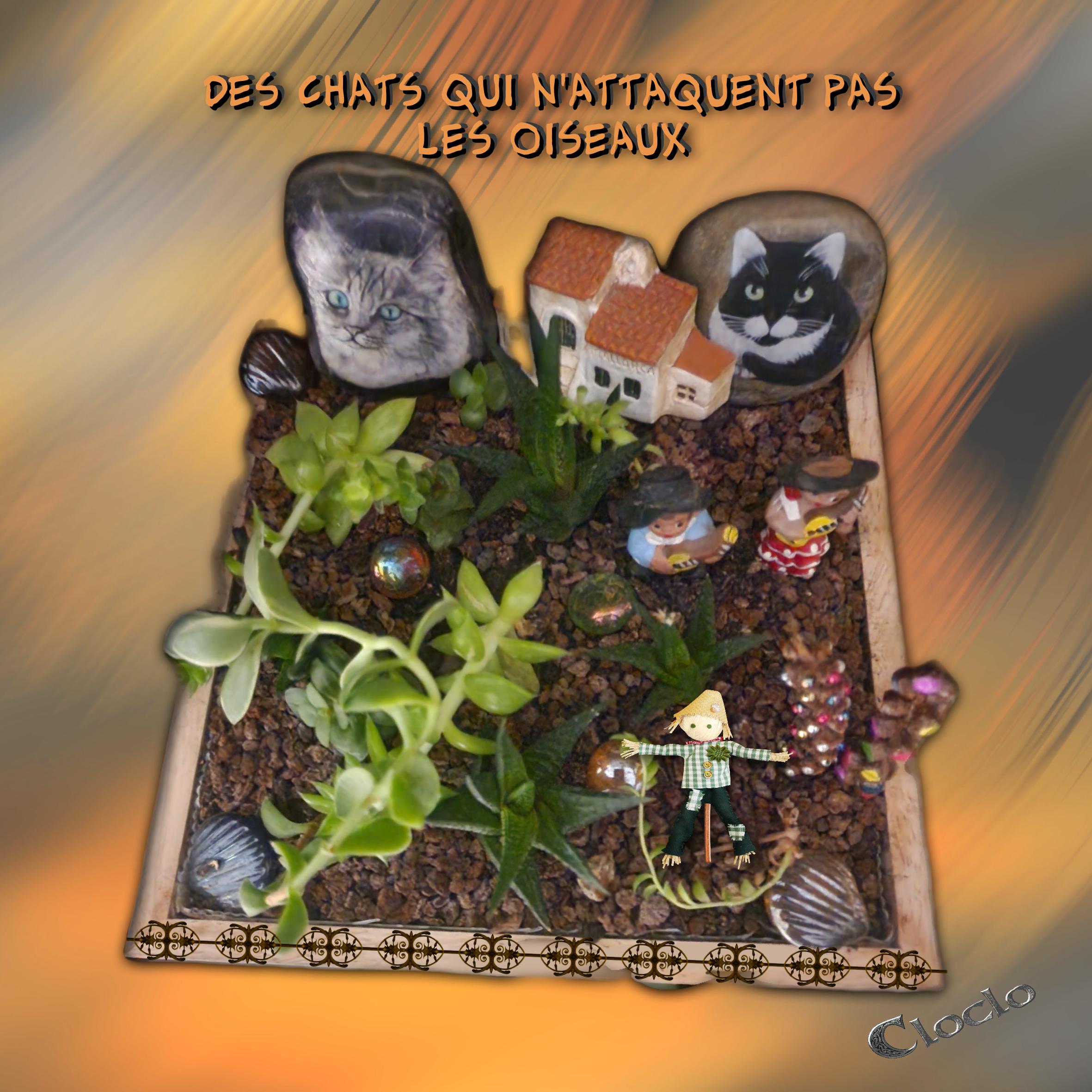 Composition 1 du 24 février 2024.jpg