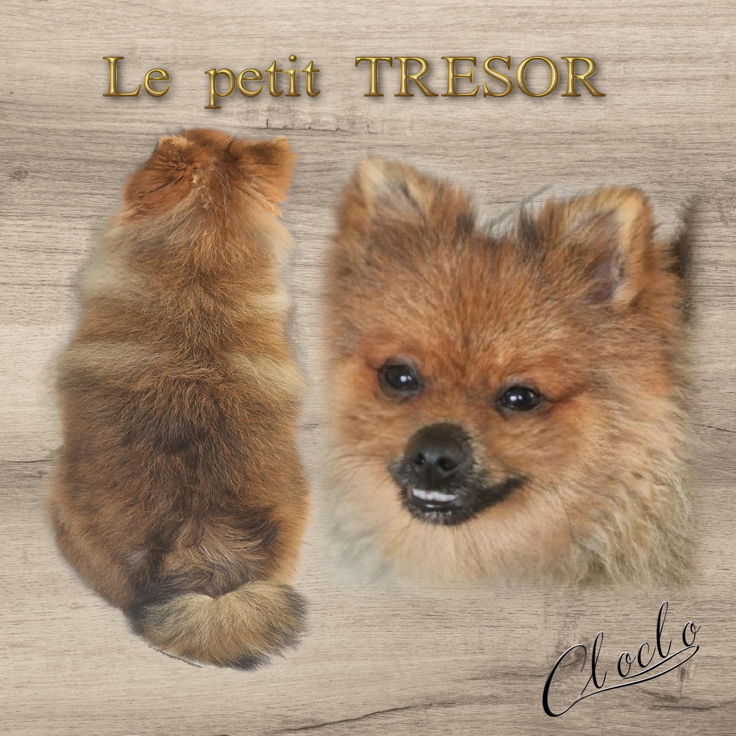 Composition 1 du 24 juillet 2024.jpg