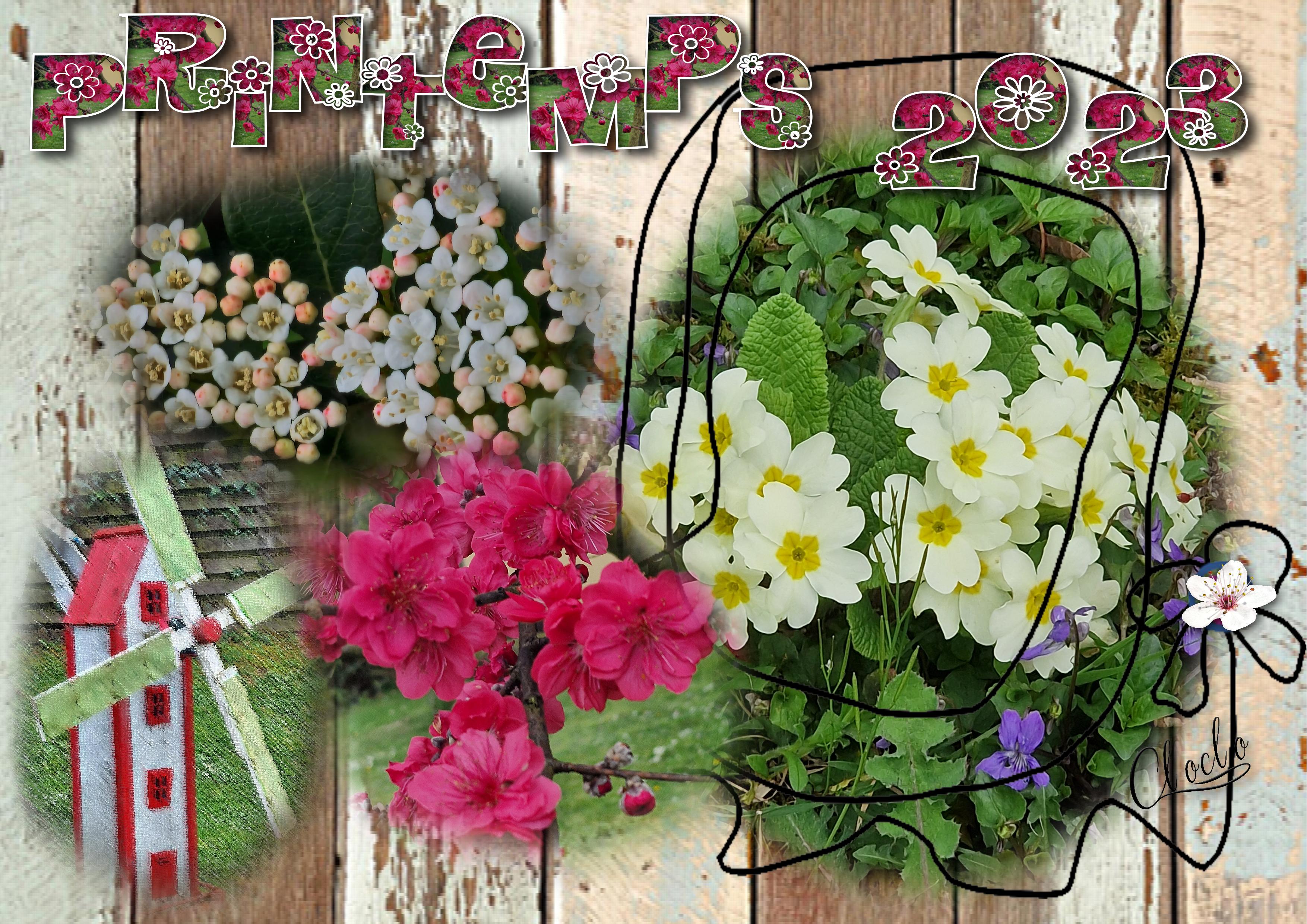 Composition 1 du 24 mars 2023.jpg