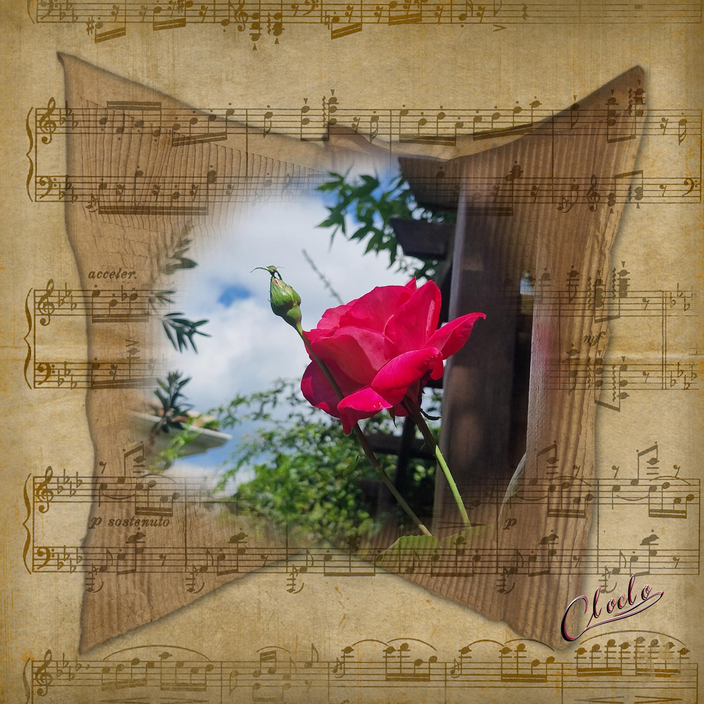 Composition 1 du 25 juillet 2024.jpg