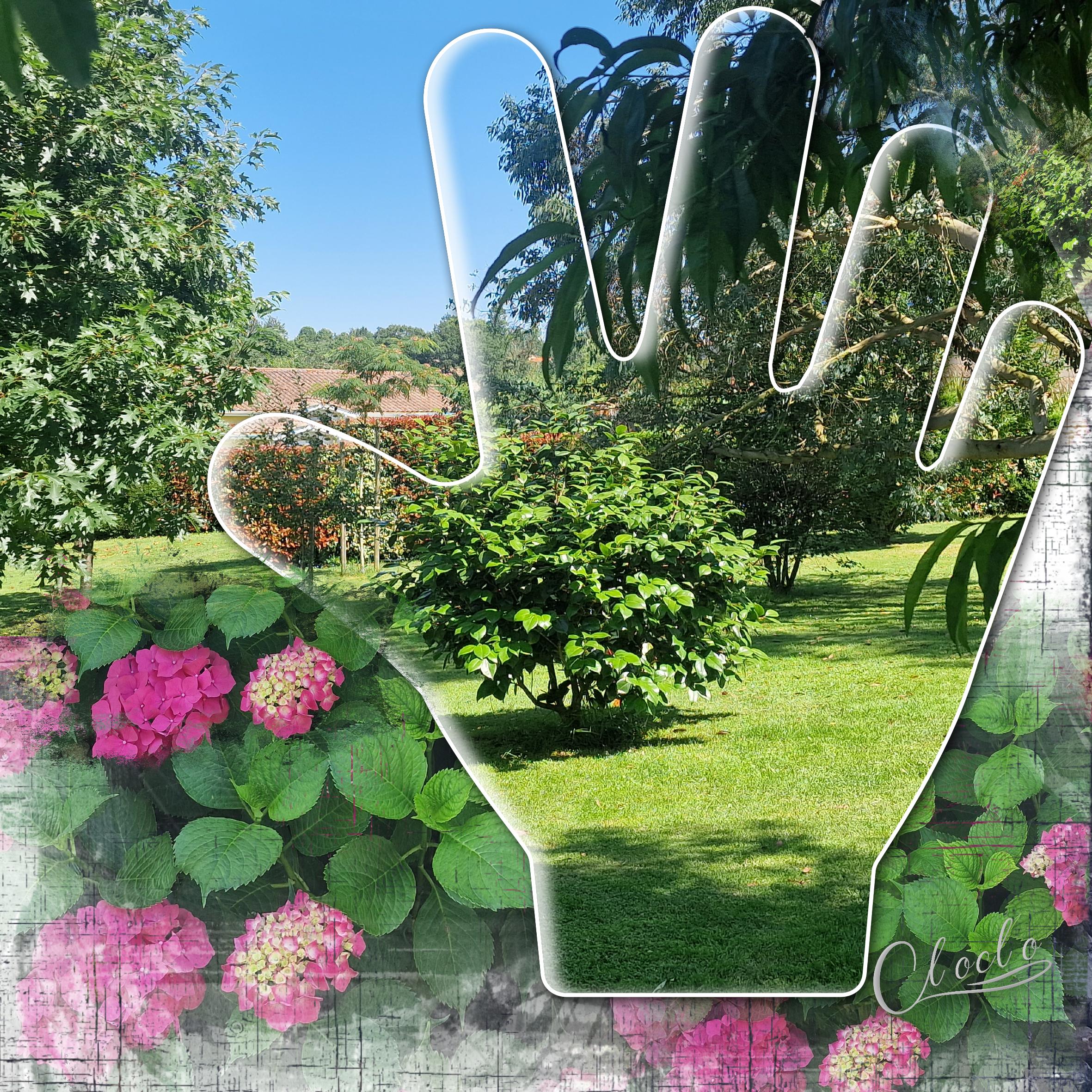 Composition 1 du 25 juin 2023.jpg