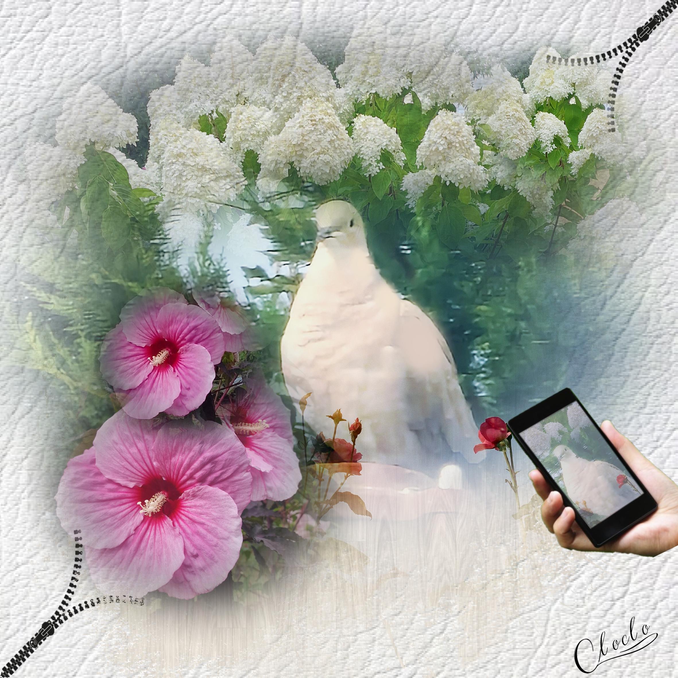 Composition 1 du 26 juillet 2023.jpg