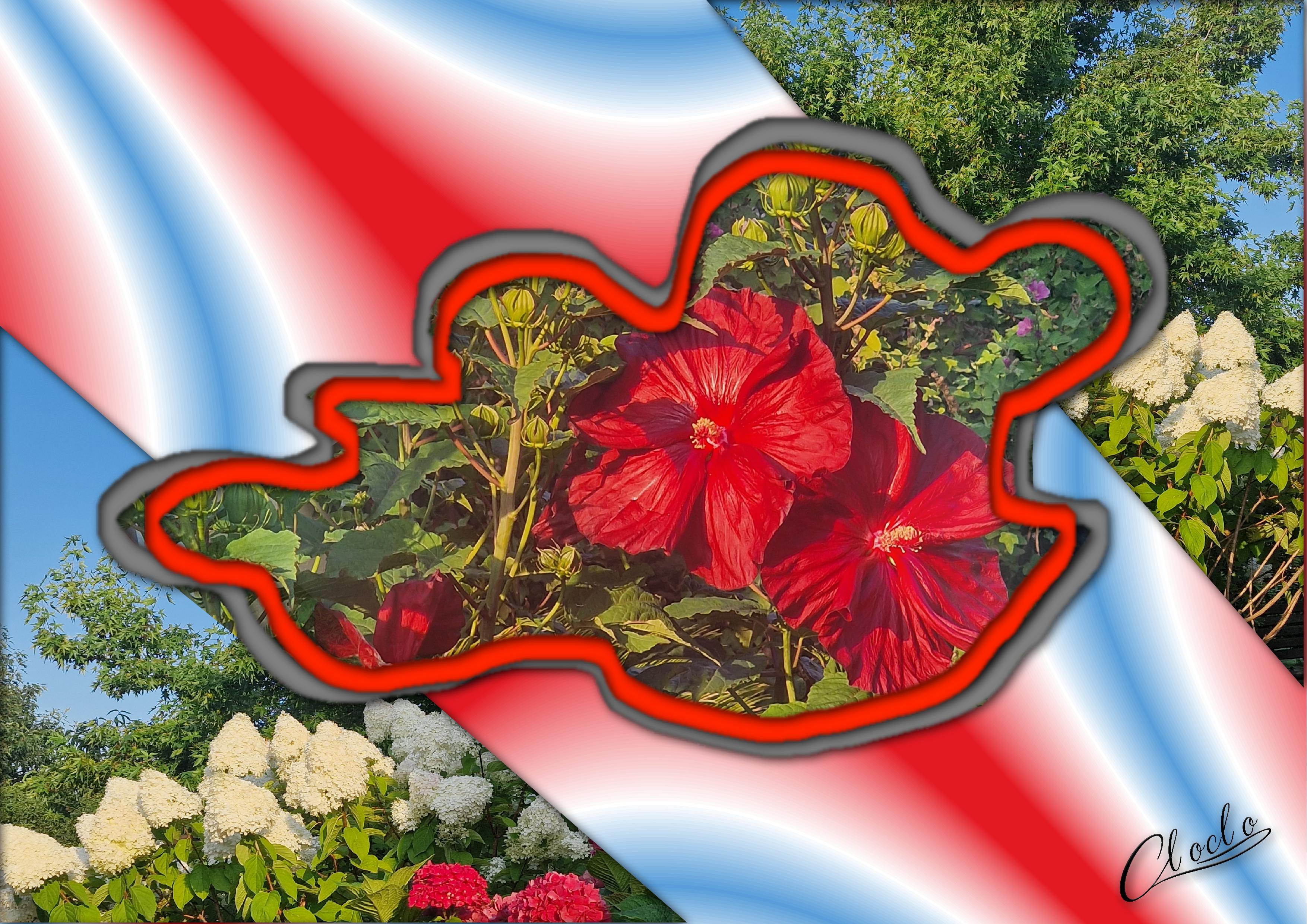 Composition 1 du 26 juillet 2024.jpg