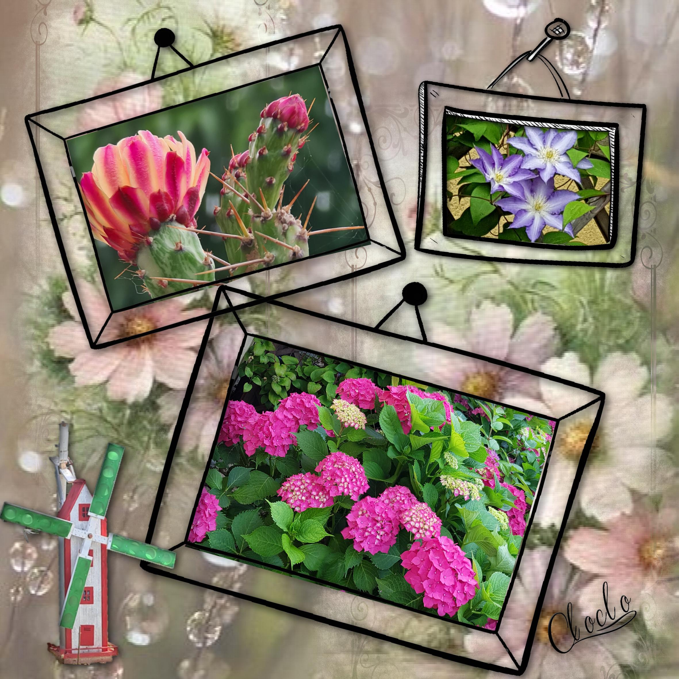 Composition 1 du 26 mars 2023.jpg