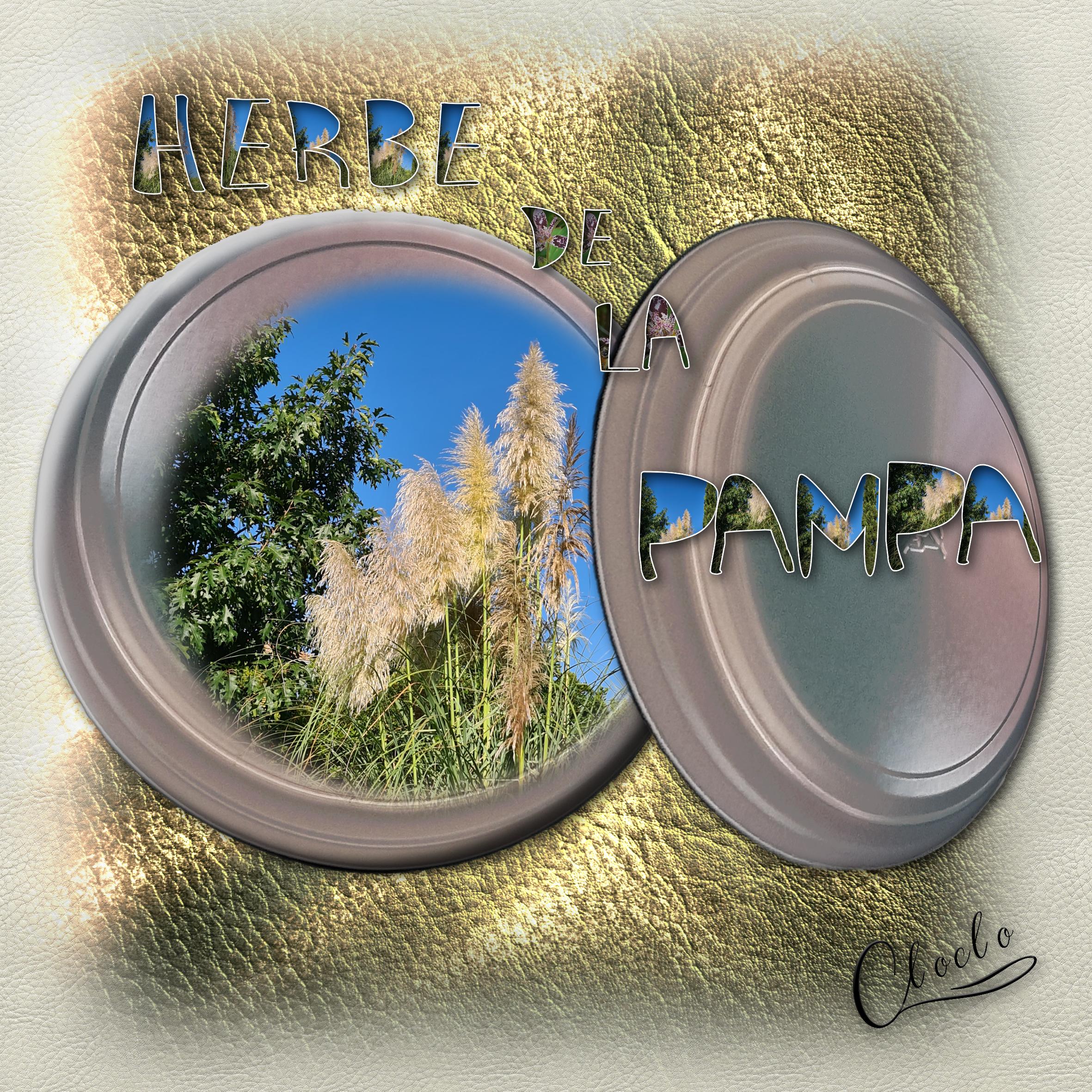 Composition 1 du 26 septembre 2023.jpg