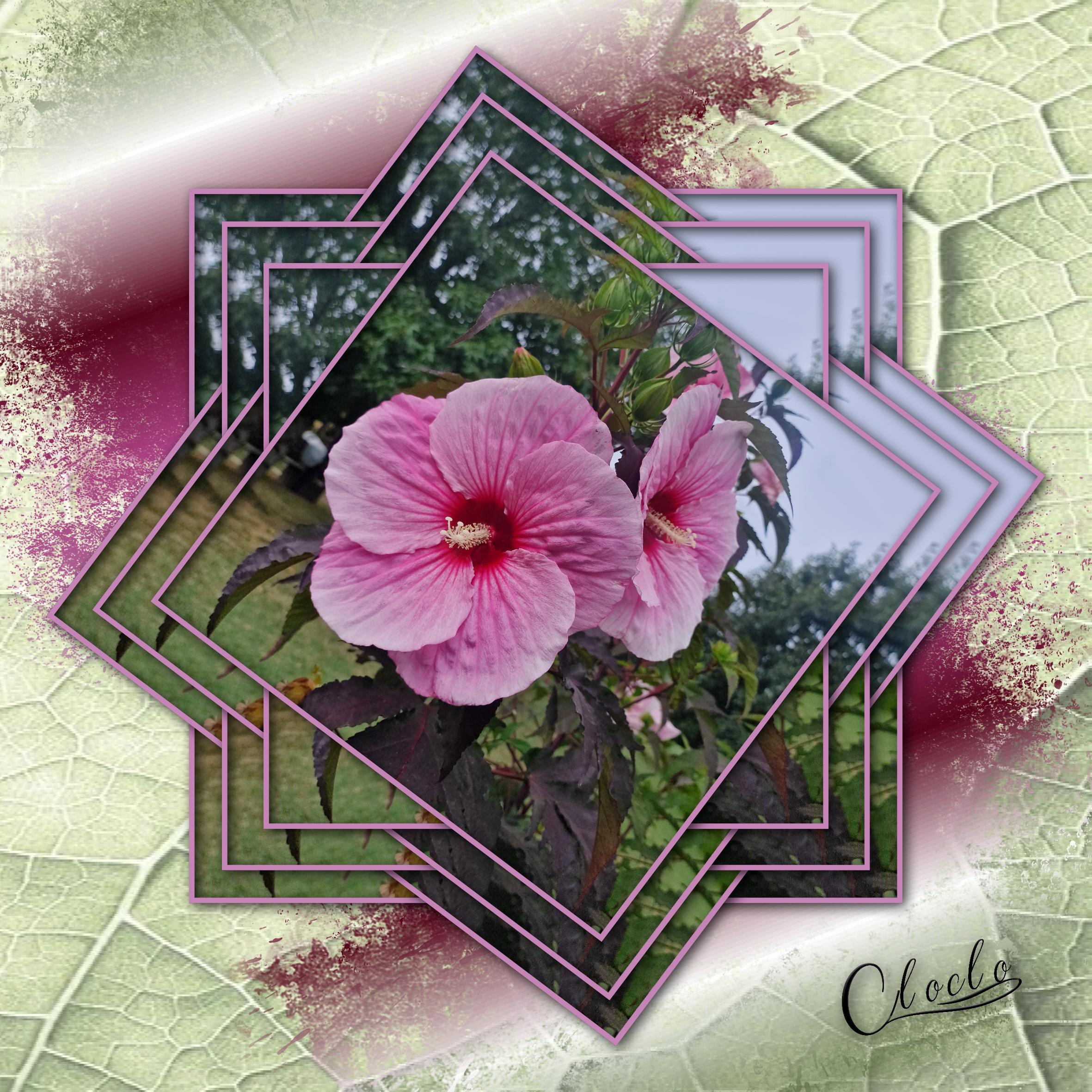 Composition 1 du 27 juillet 2023.jpg