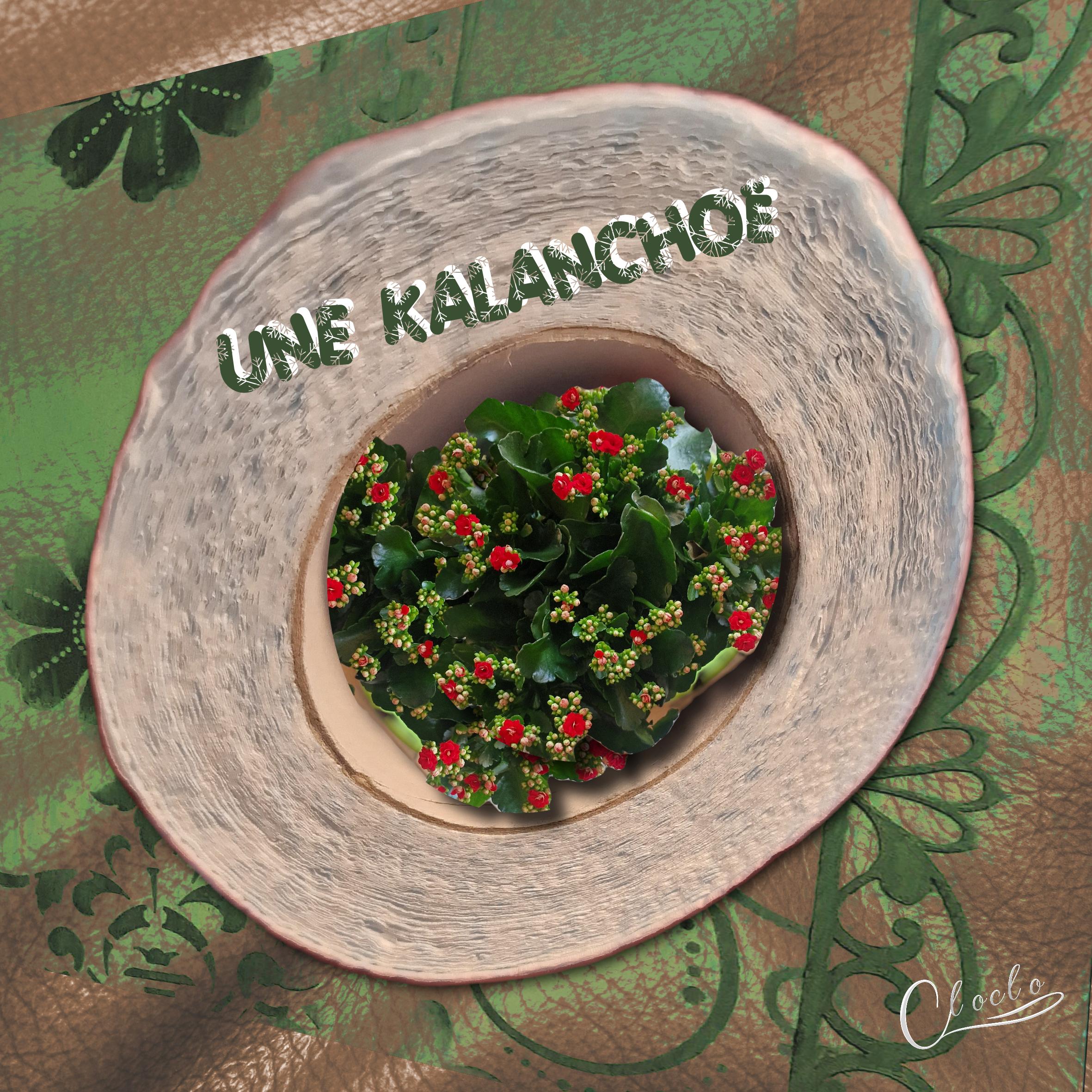 Composition 1 du 27 septembre 2023.jpg