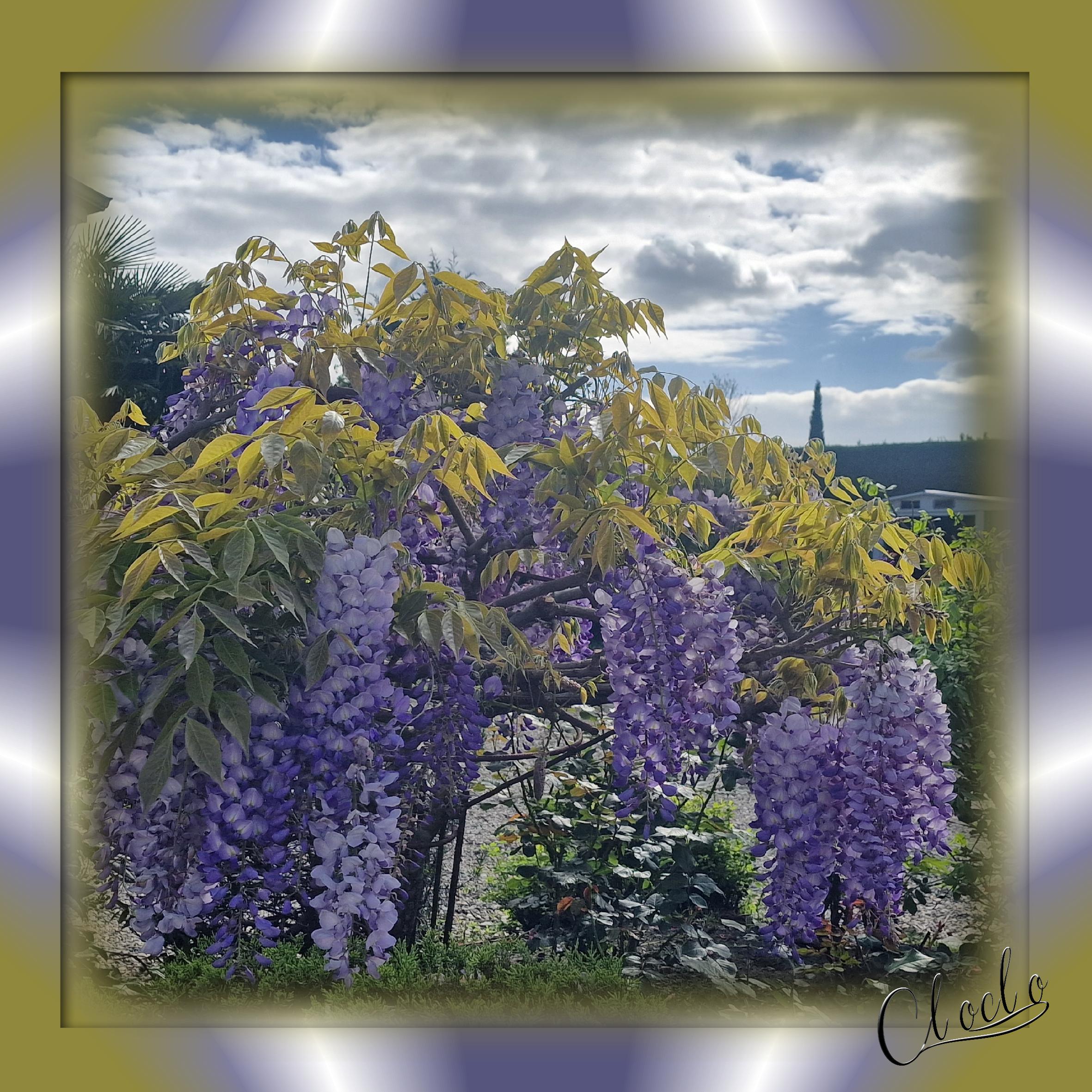 Composition 1 du 28 avril 2024.jpg