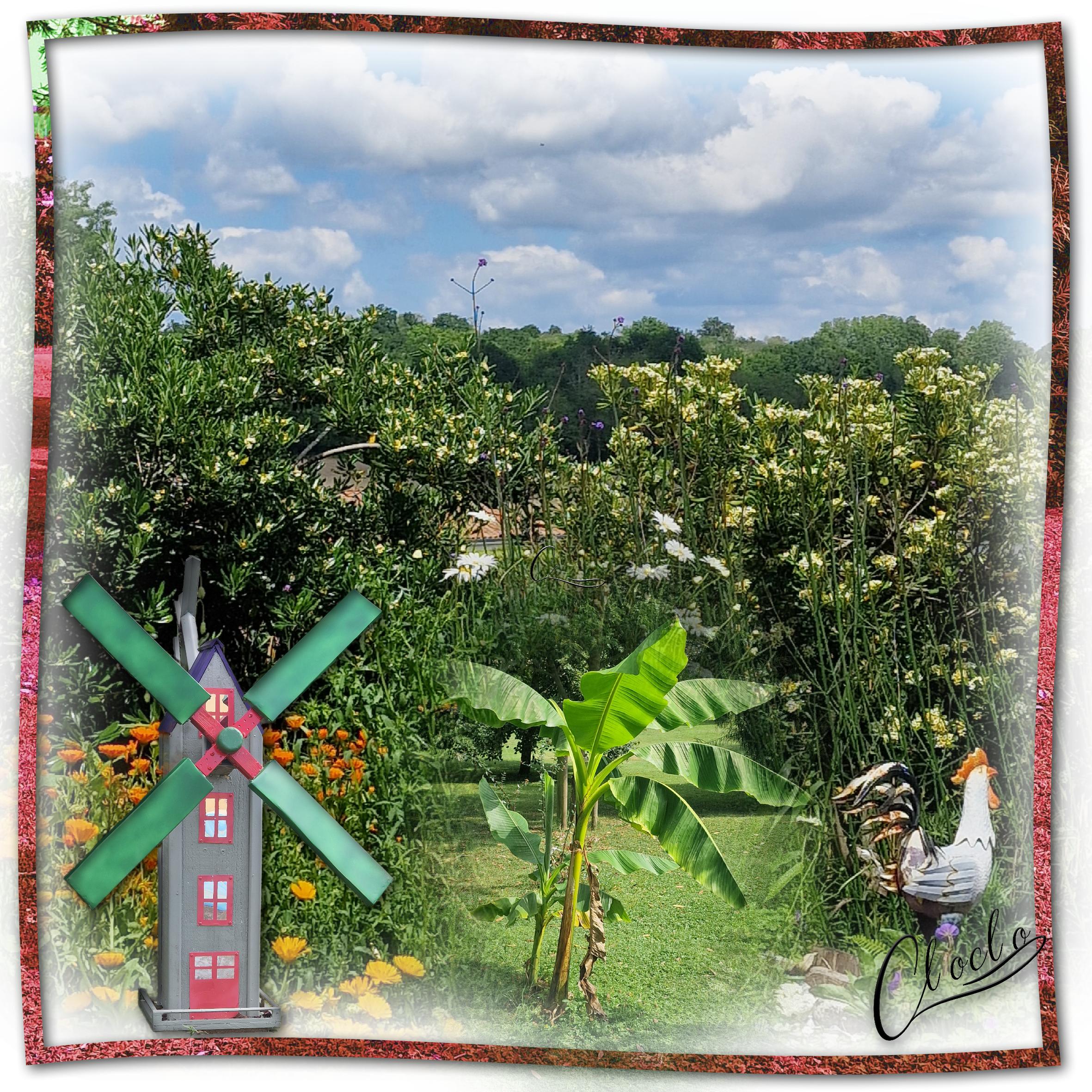 Composition 1 du 28 juillet 2024.jpg