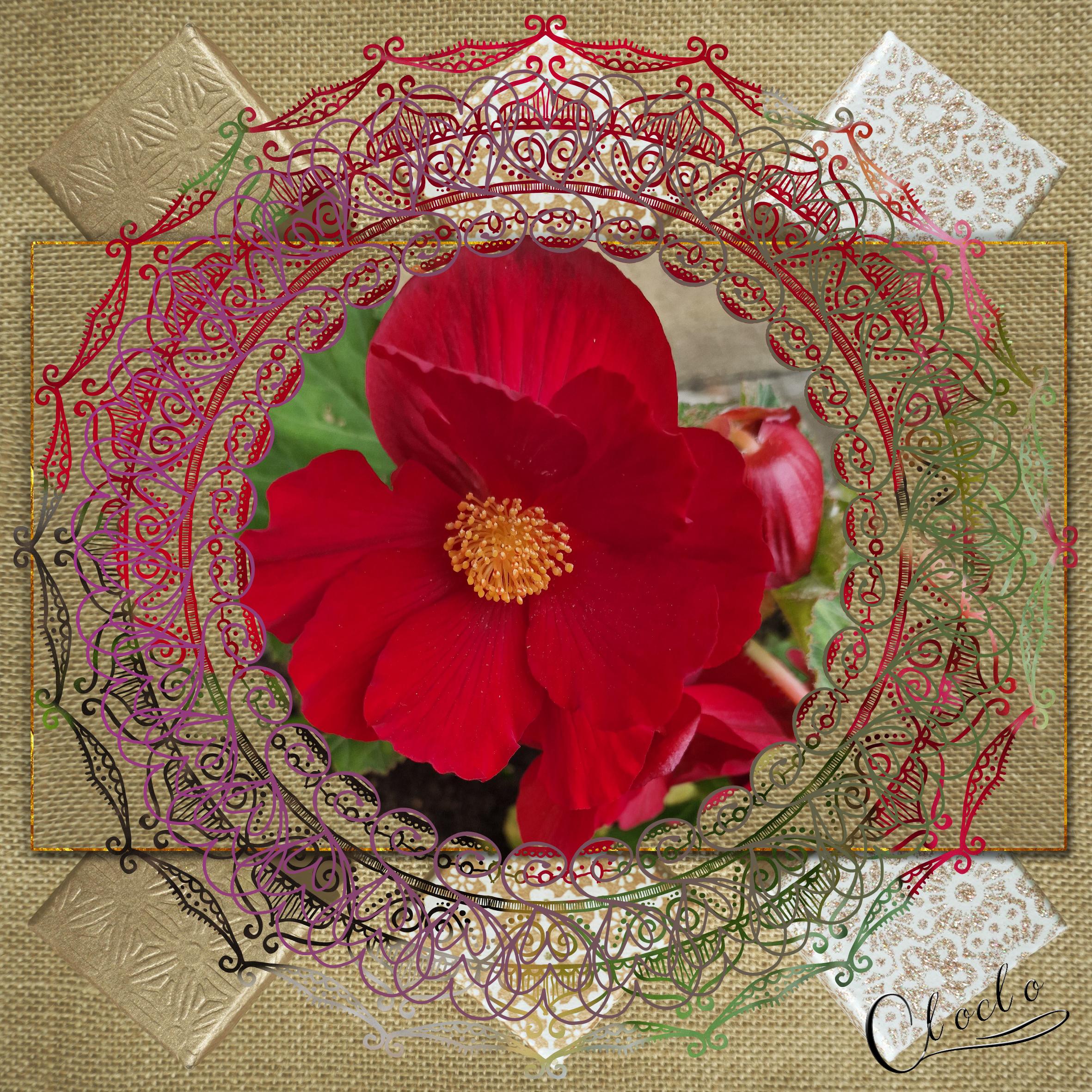 Composition 1 du 28 novembre 2023.jpg