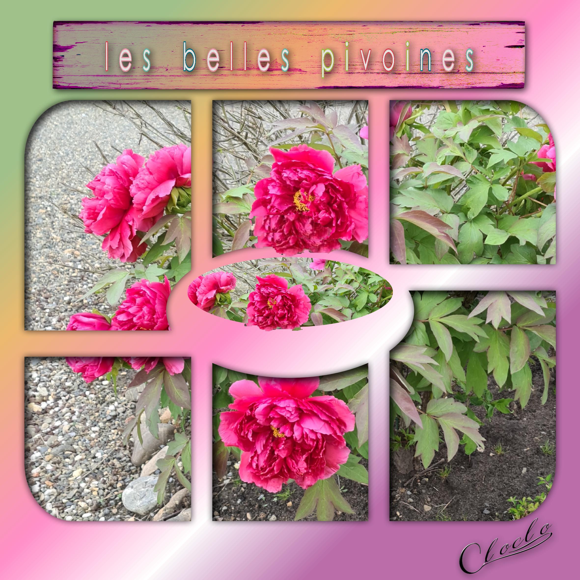 Composition 1 du 29 mars 2024.jpg