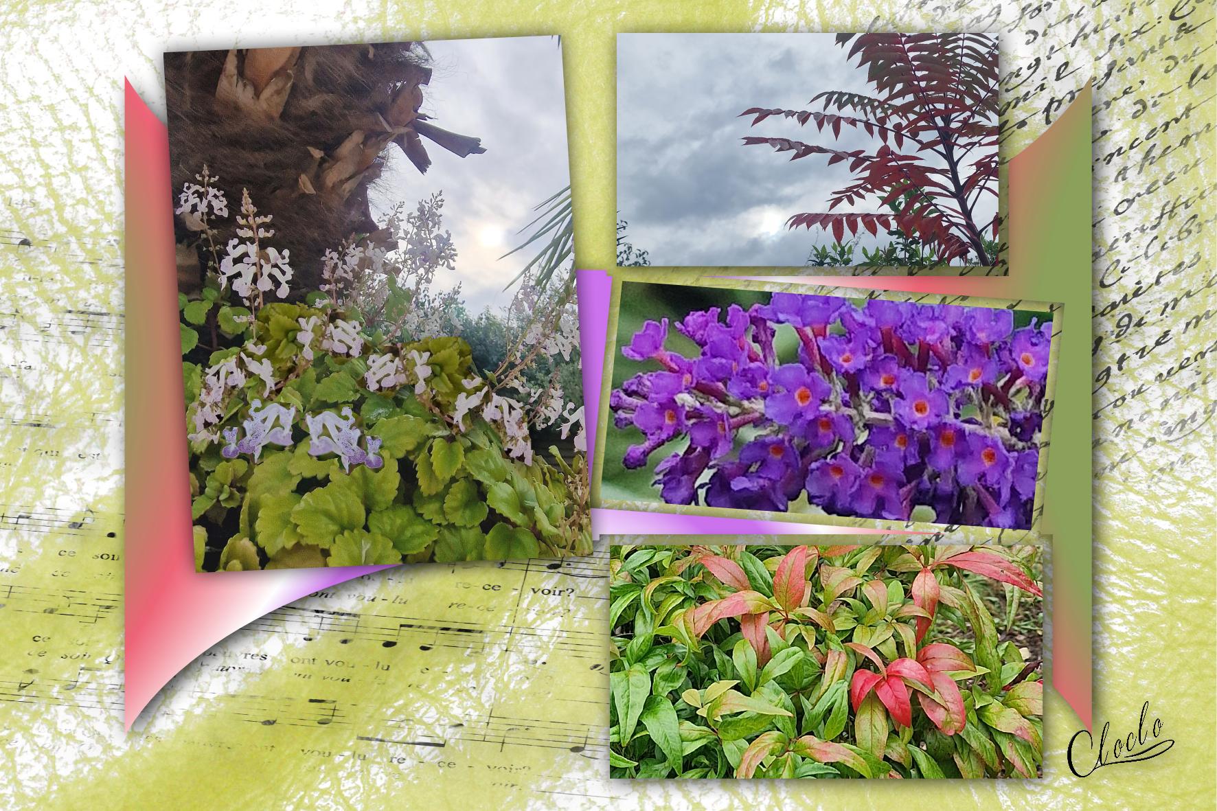 Composition 1 du 29 octobre 2023.jpg