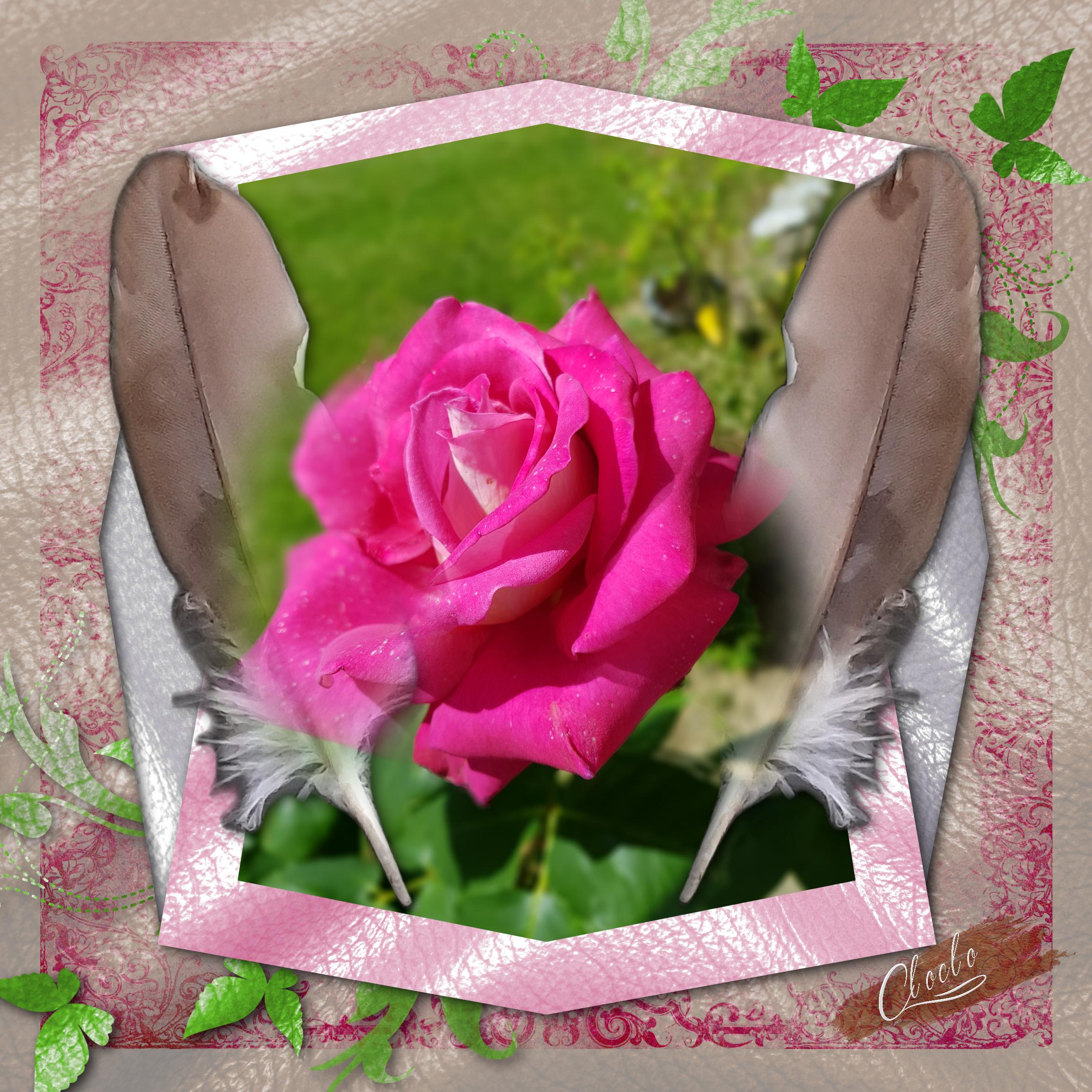 Composition 1 du 29 septembre 2023.jpg