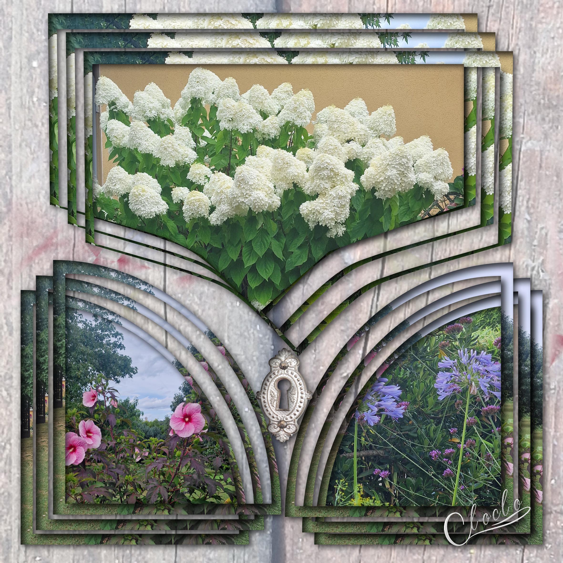 Composition 1 du 3 août 2023.jpg