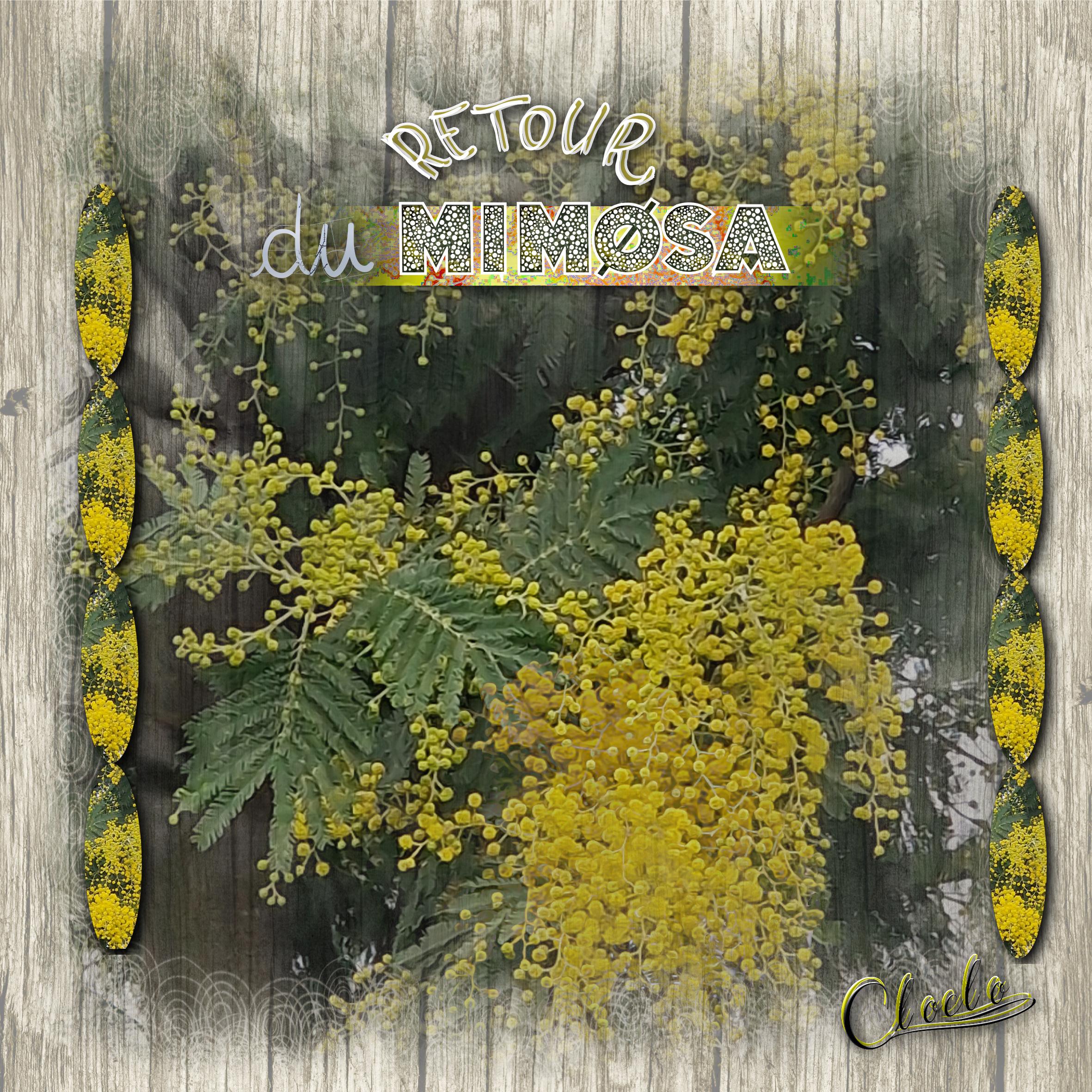 Composition 1 du 3 février 2024.jpg