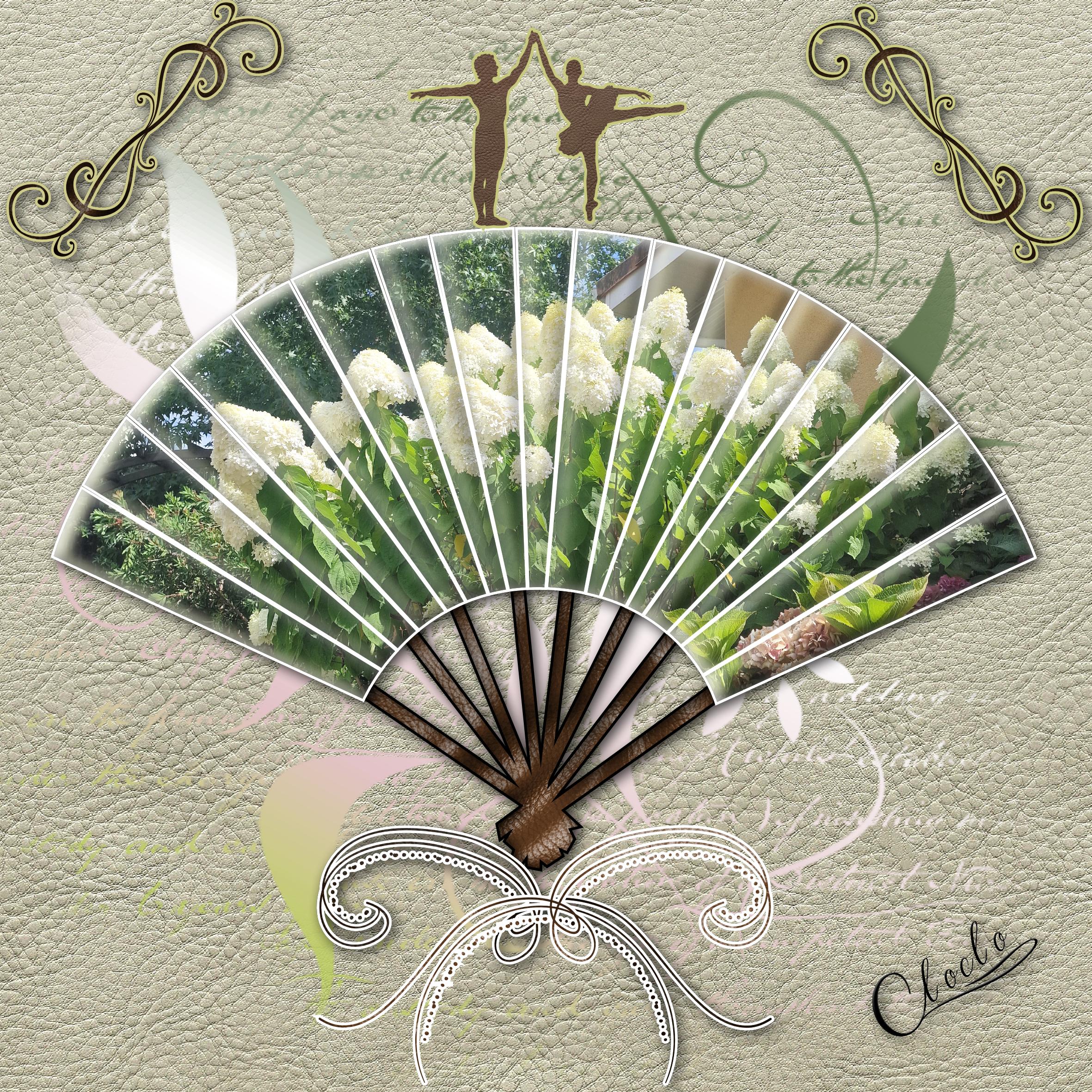 Composition 1 du 3 septembre 2023.jpg