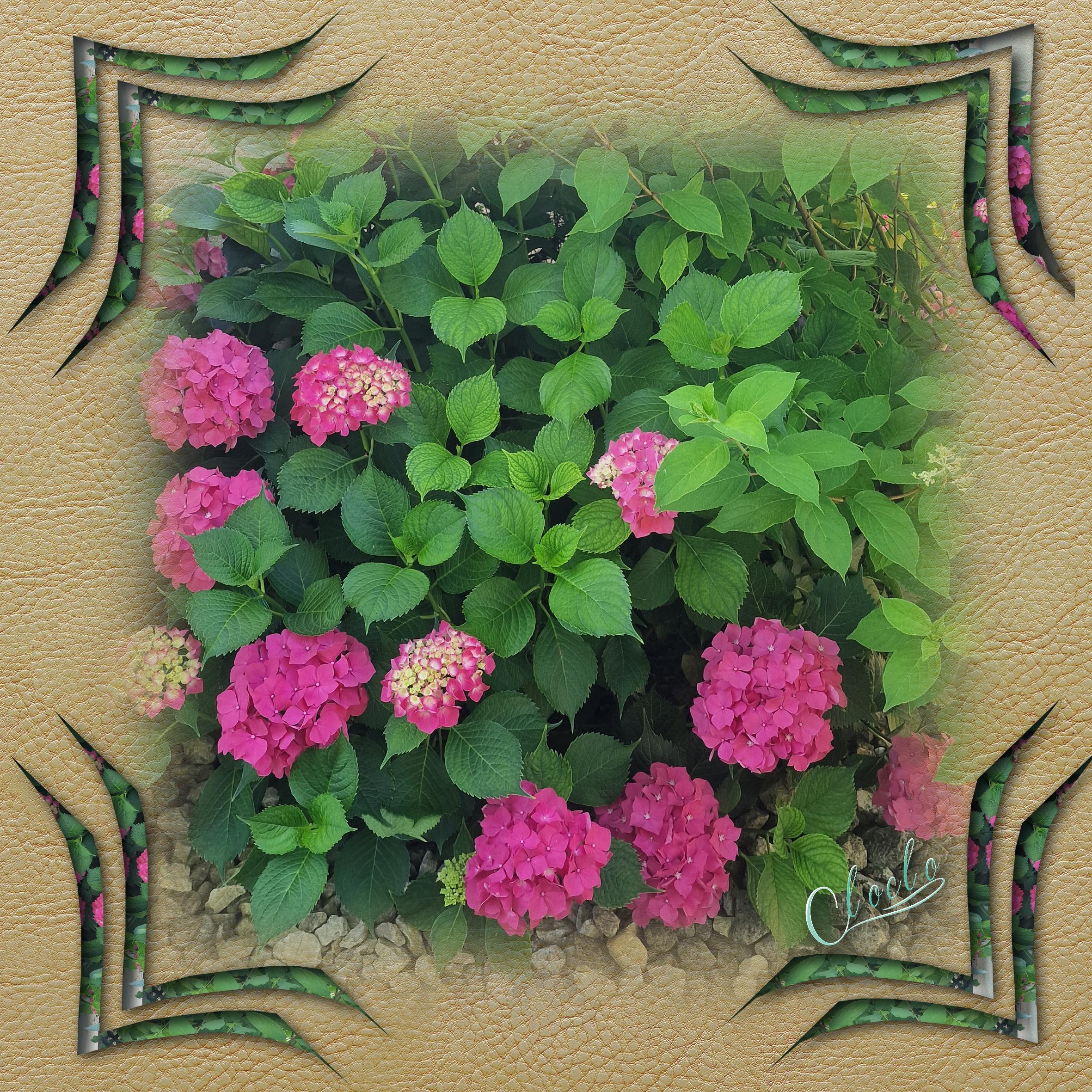 Composition 1 du 30 août 2023.jpg