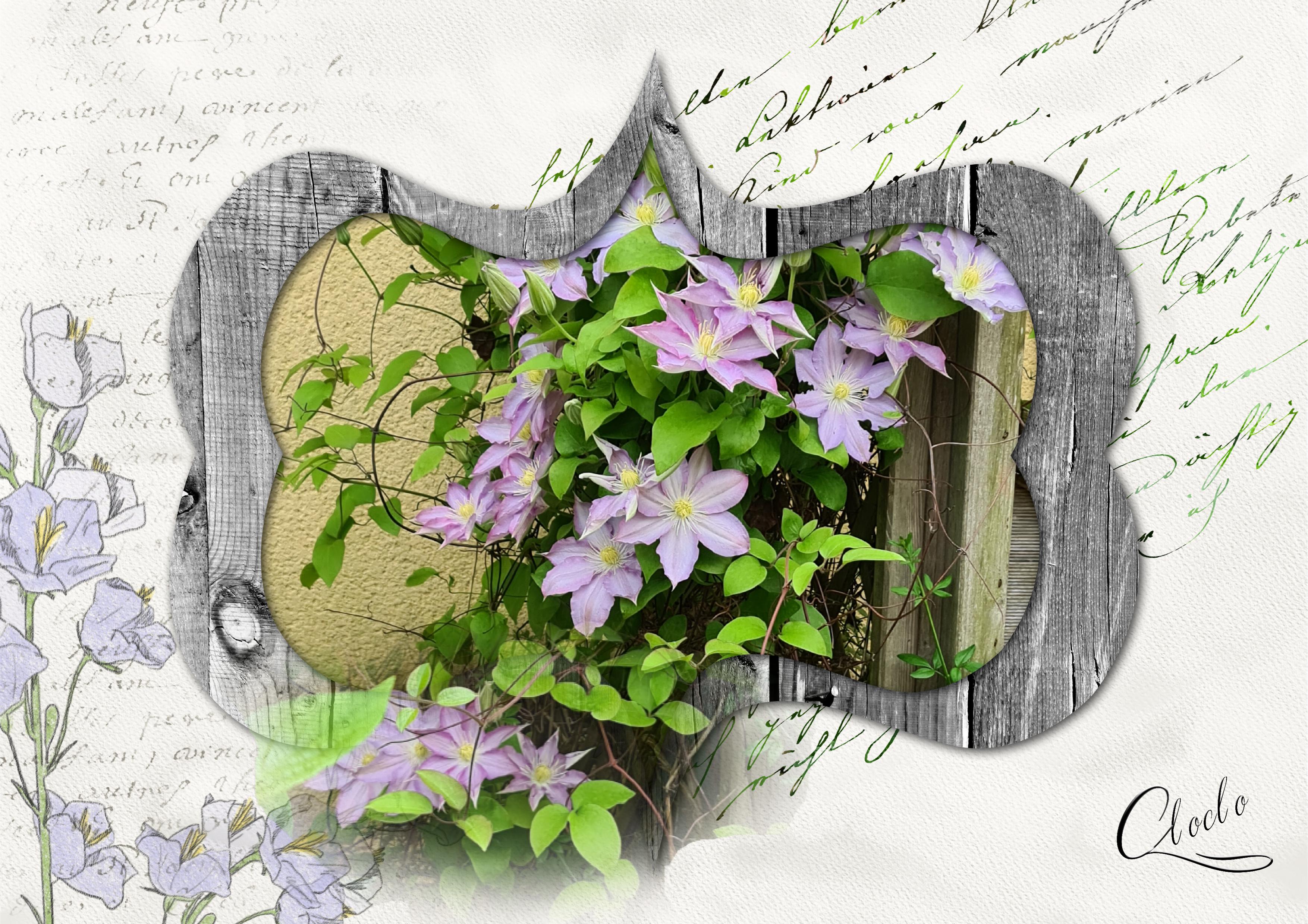 Composition 1 du 30 avril 2023.jpg