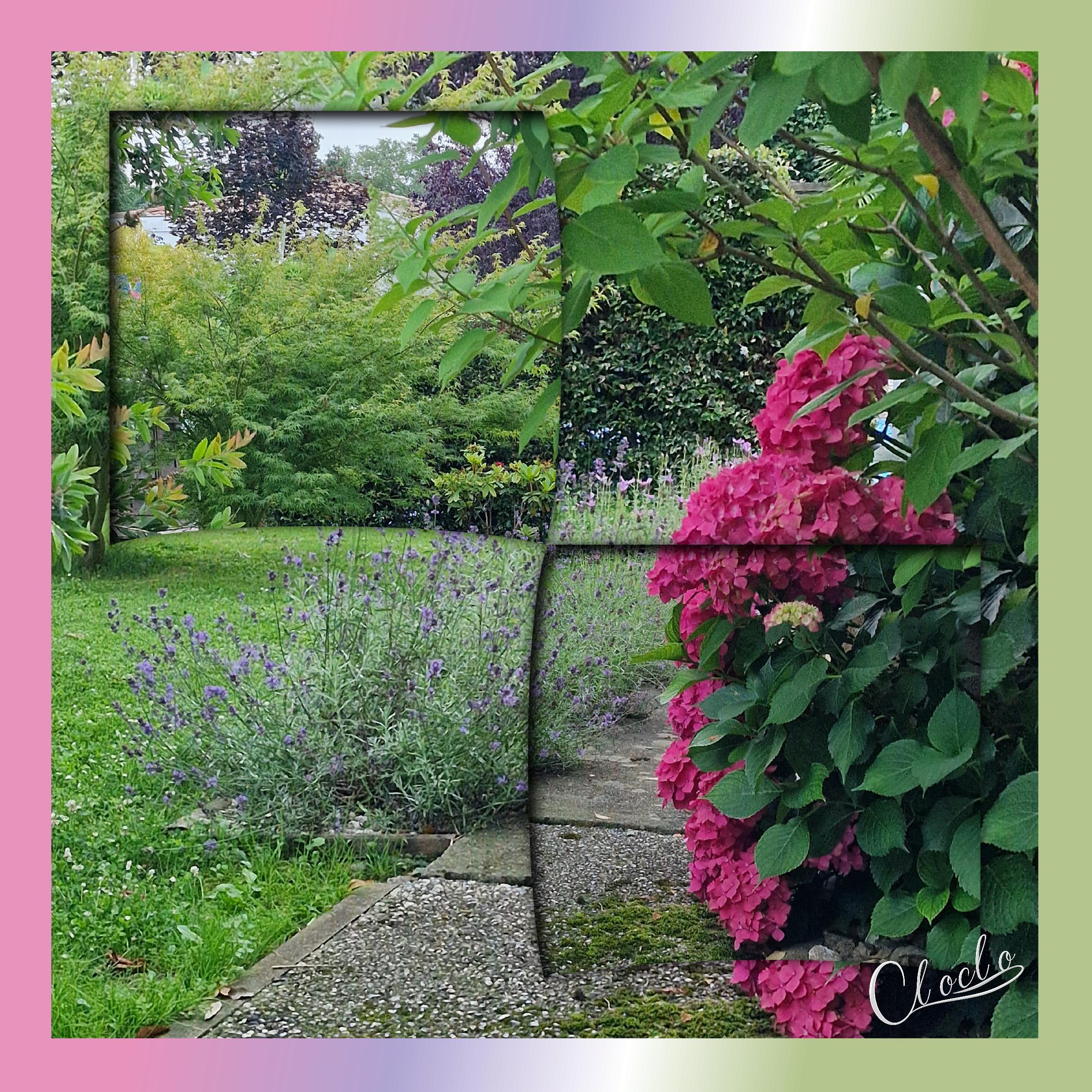 Composition 1 du 30 juin 2024.jpg