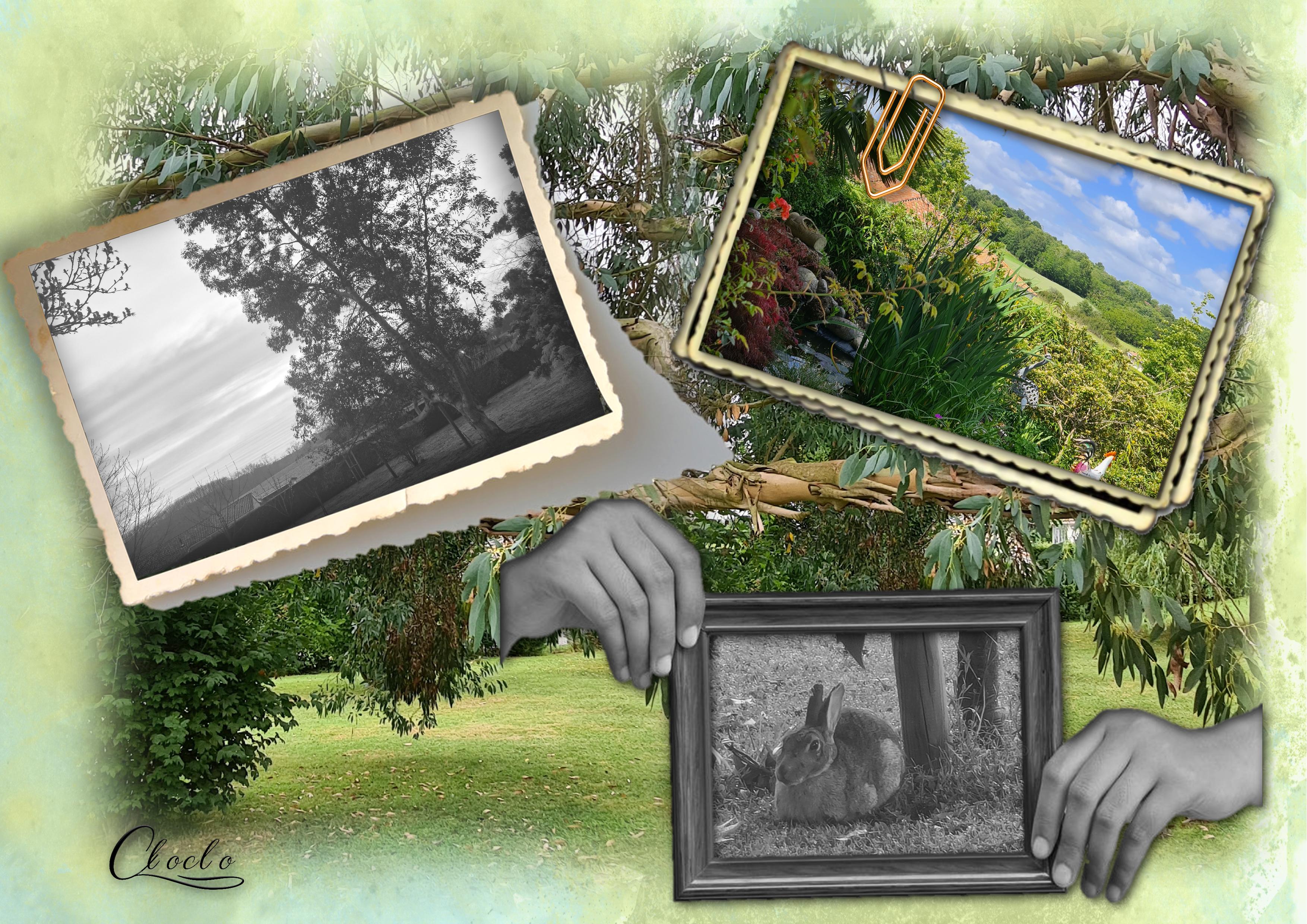 Composition 1 du 30 mars 2023.jpg