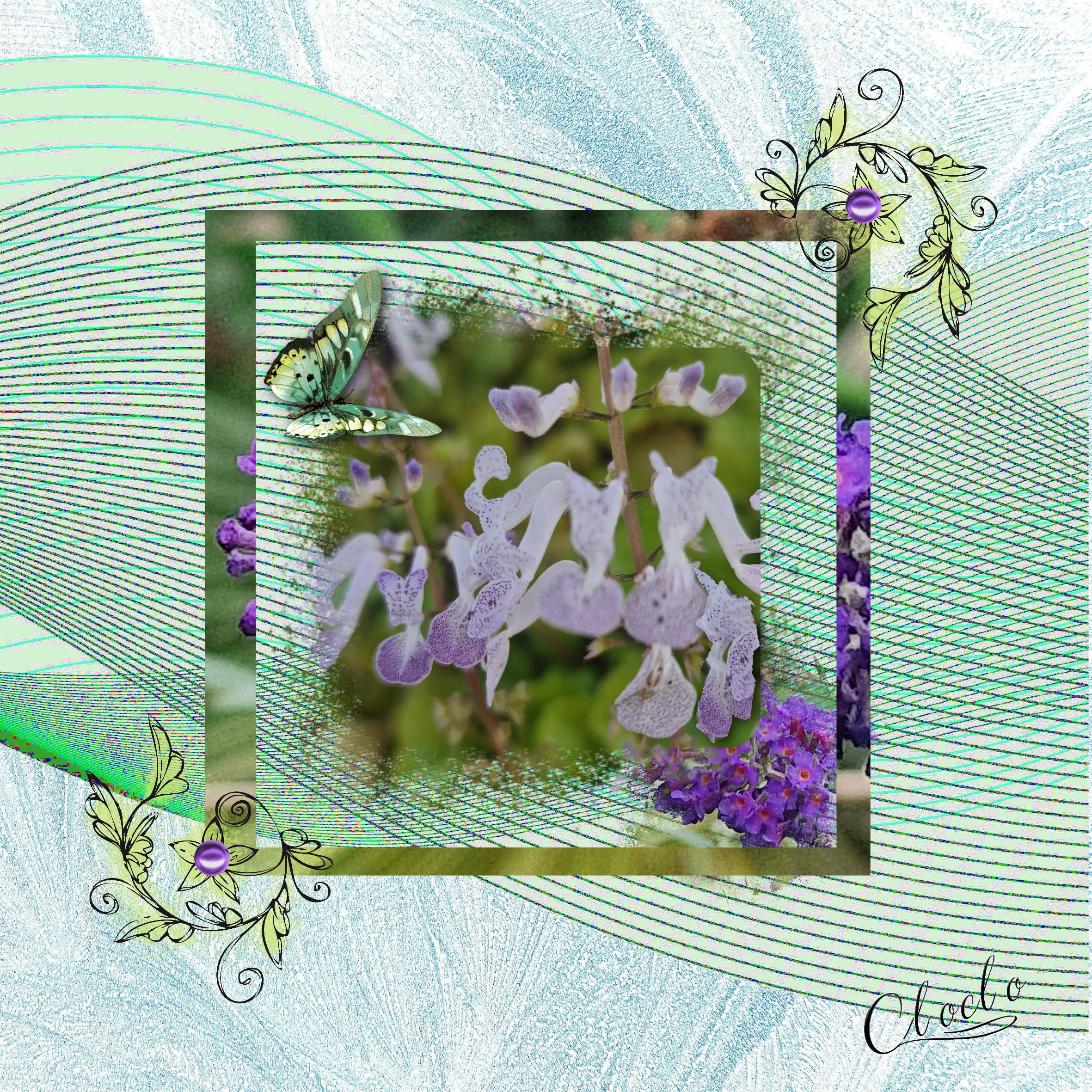 Composition 1 du 30 novembre 2023.jpg