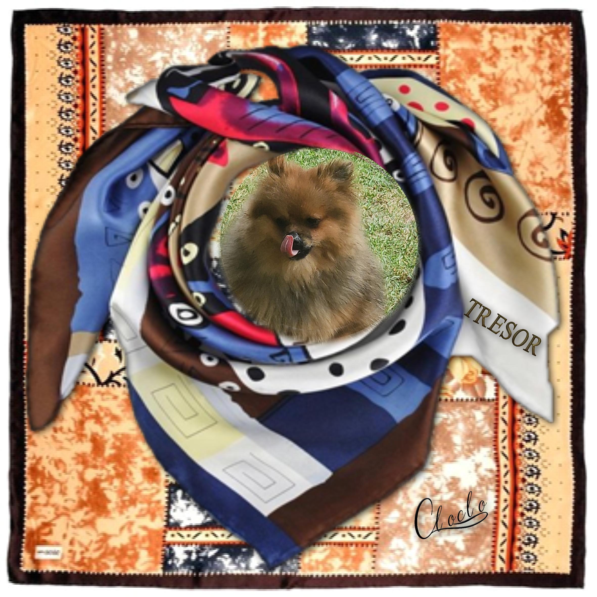 Composition 1 du 30 novembre 2025.jpg