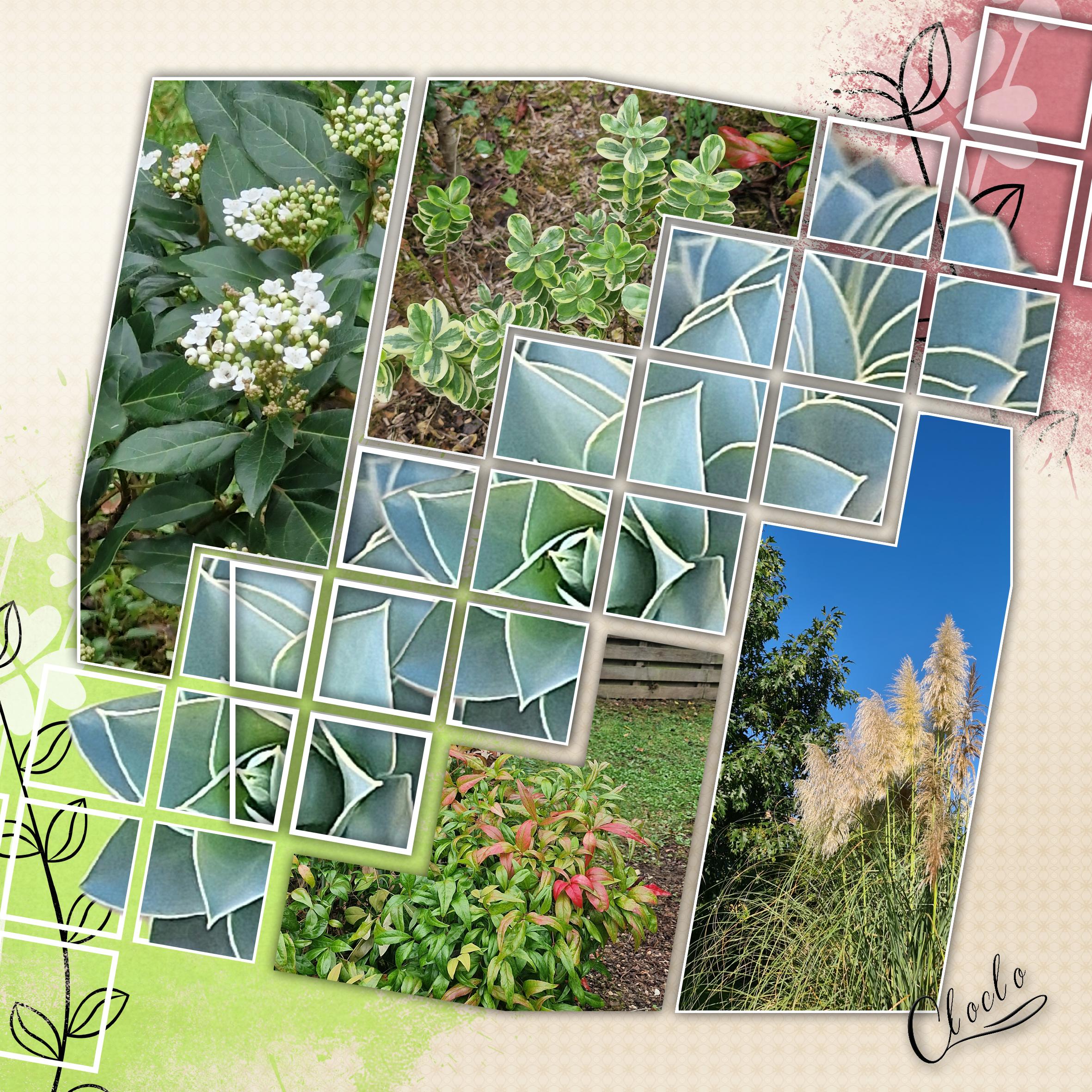 Composition 1 du 30 octobre 2023.jpg