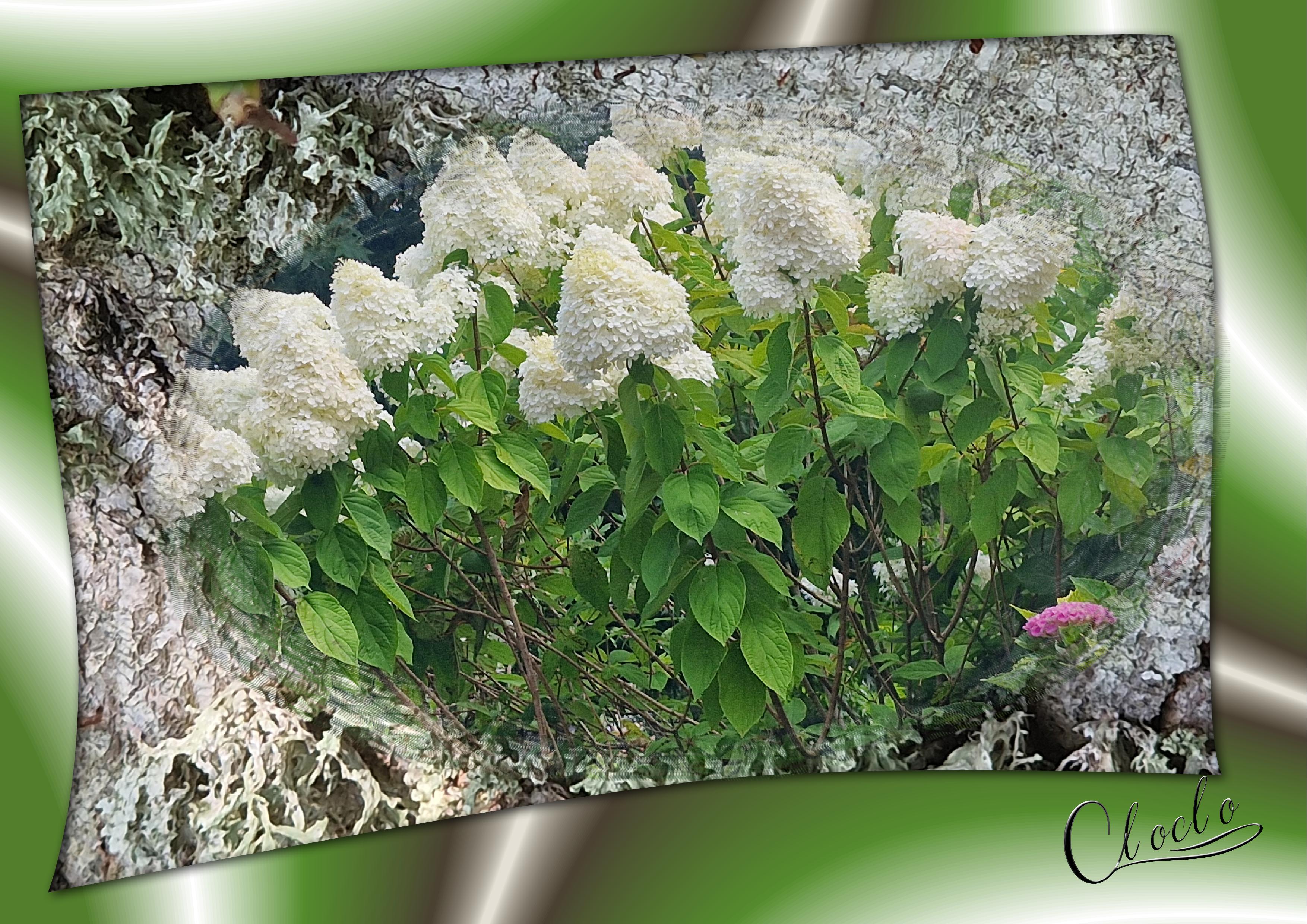 Composition 1 du 31 juillet 2024.jpg