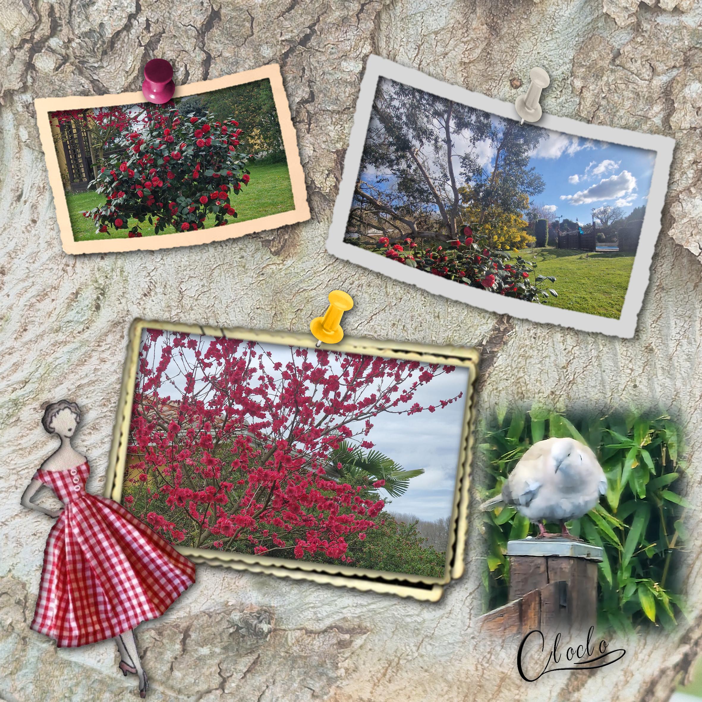 Composition 1 du 31 mars 2023.jpg