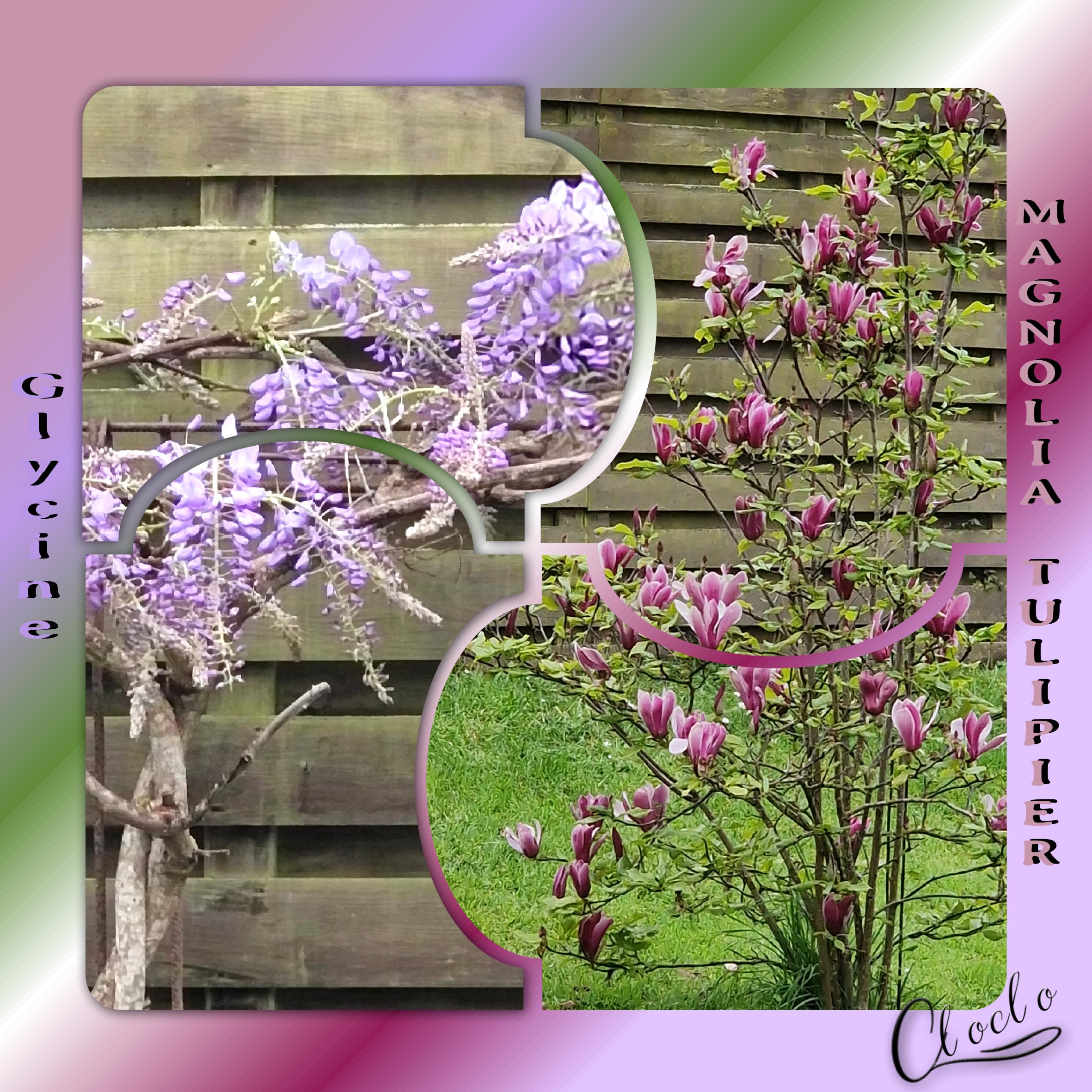 Composition 1 du 31 mars 2024.jpg